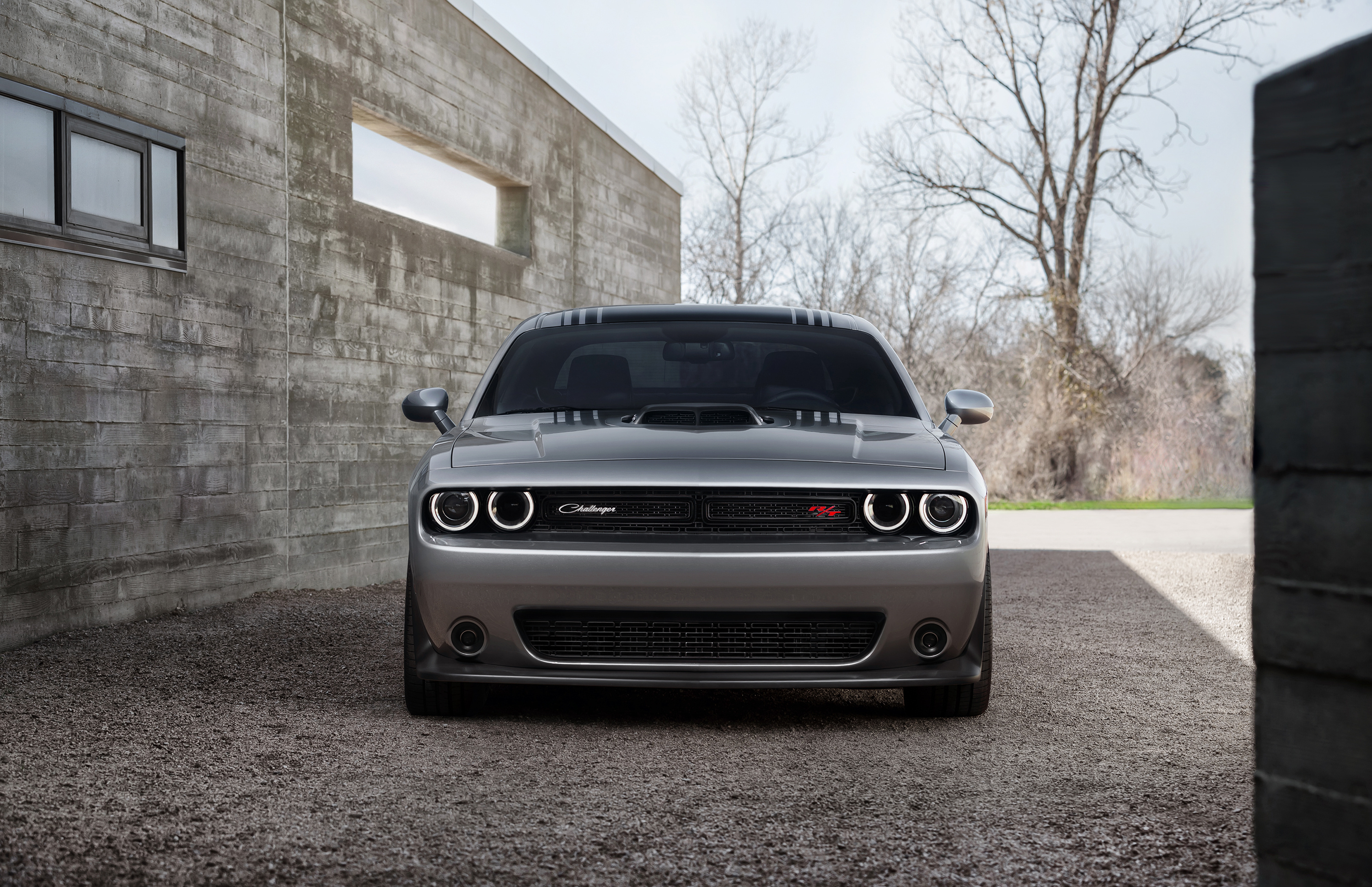 Скачать 2015, dodge, challenger, серый, вид спереди, 392, hemi, scat pack shaker обои на рабочий стол