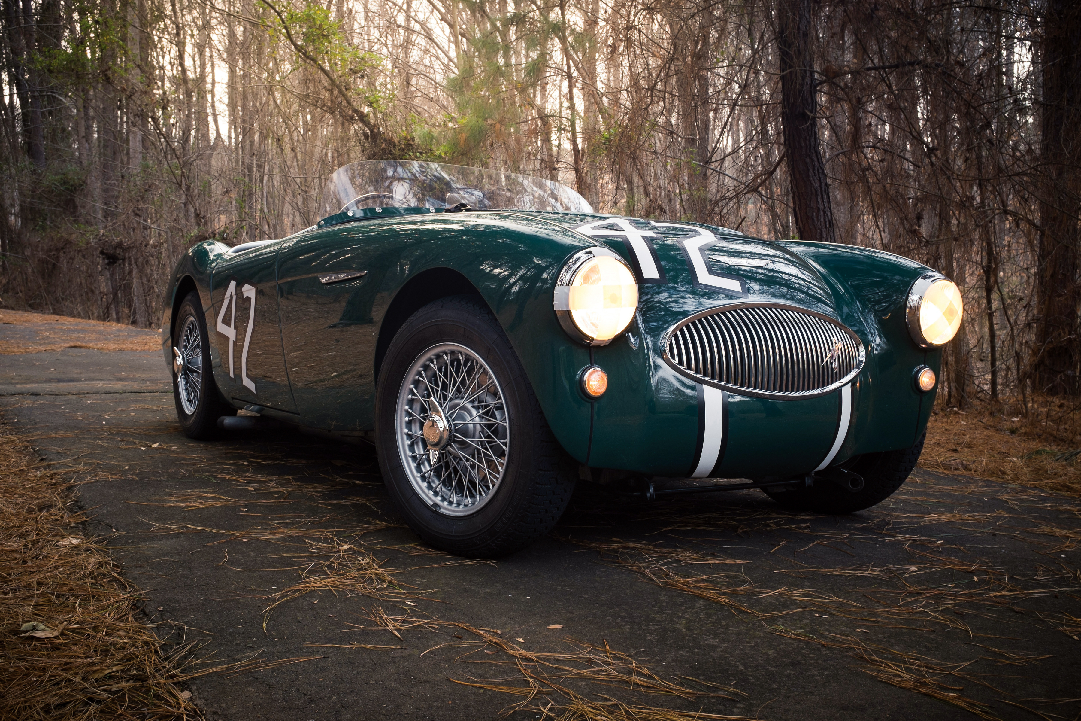 Скачать austin healey, 100s, зеленый, вид спереди обои на рабочий стол