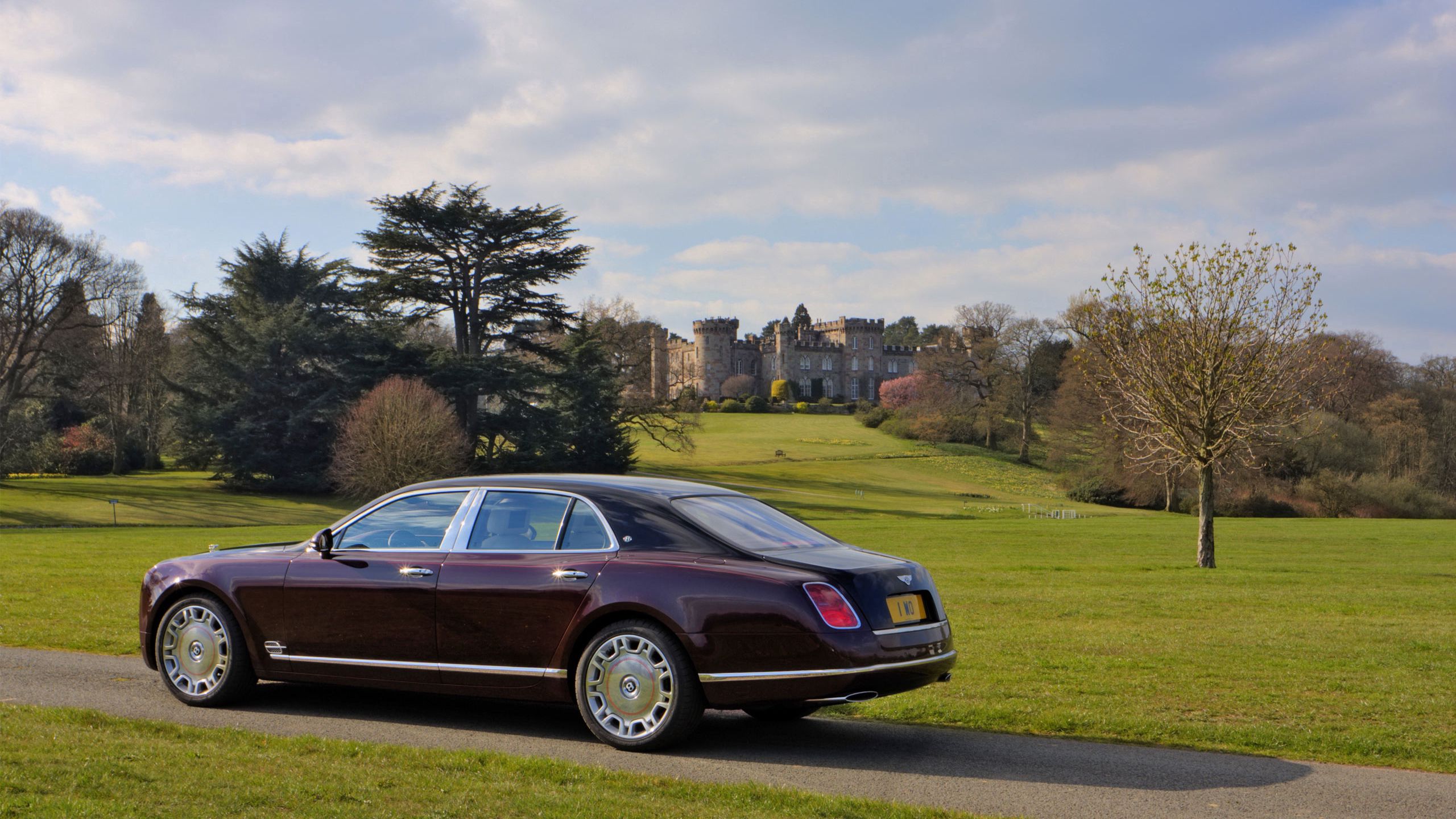 Скачать bentley, вид сбоку, трава обои на рабочий стол