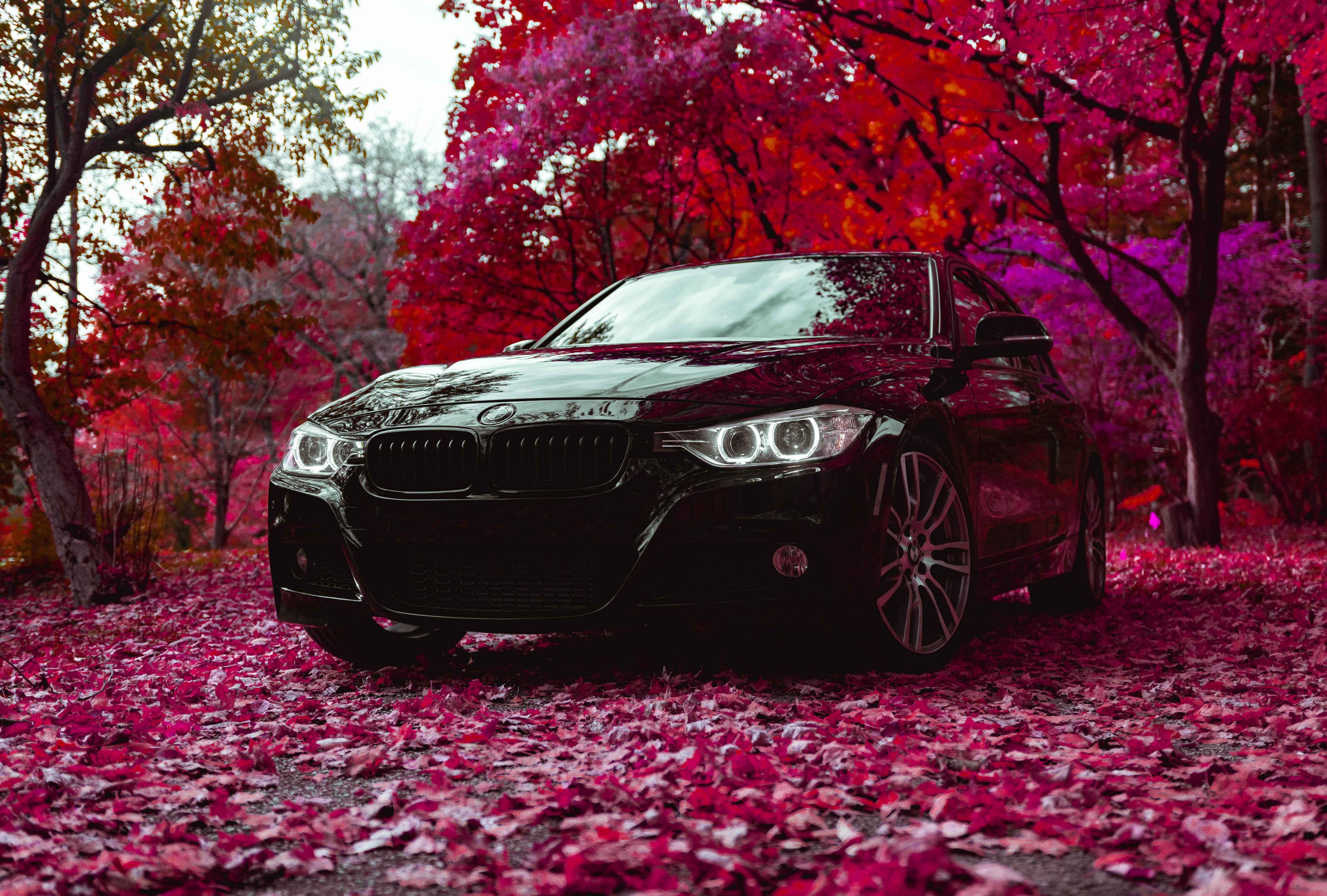 Скачать bmw f30 335i, bmw, машина, черный, вид спереди обои на рабочий стол