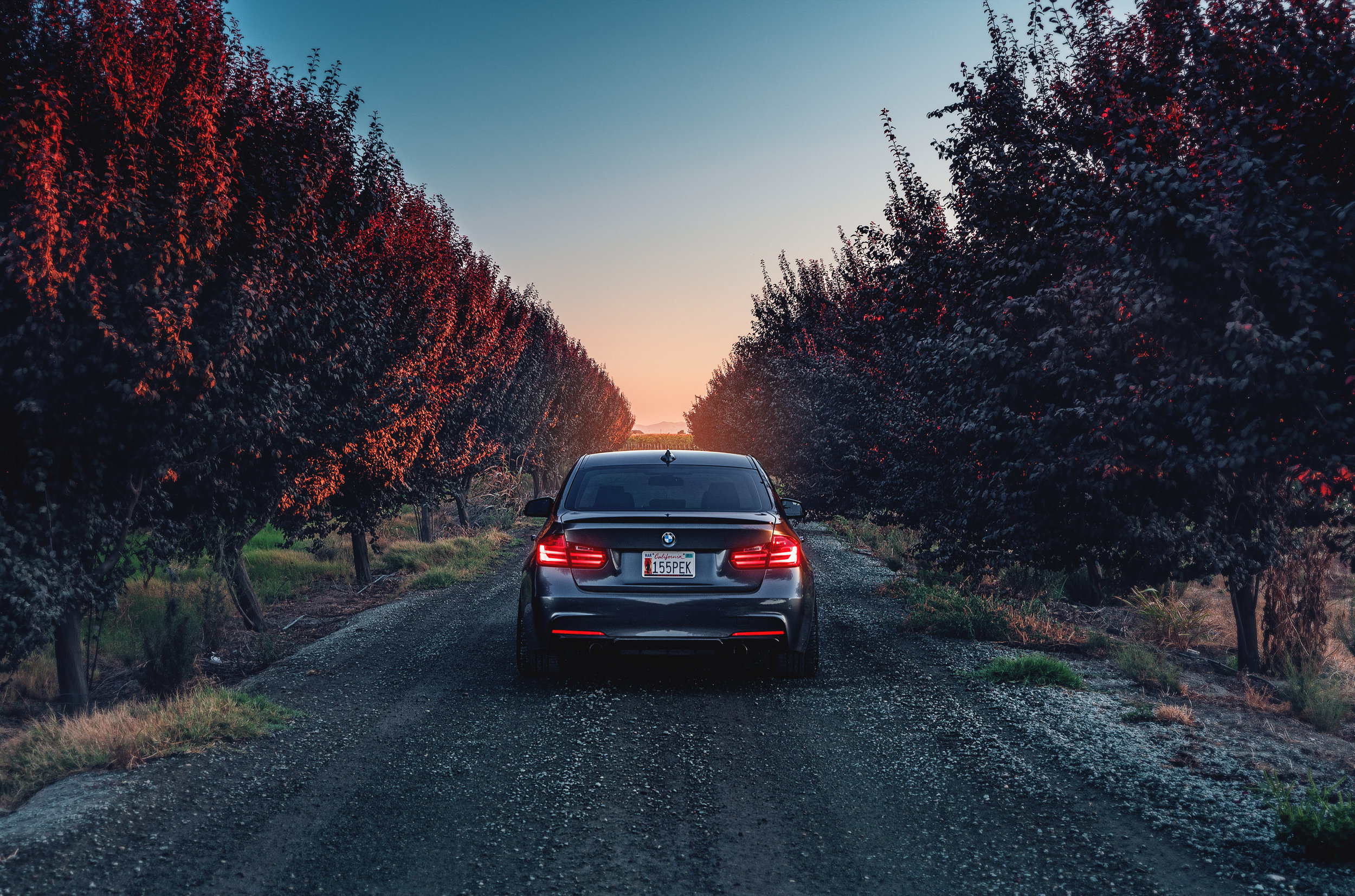 Скачать bmw, f80, 335i, вид сзади обои на рабочий стол