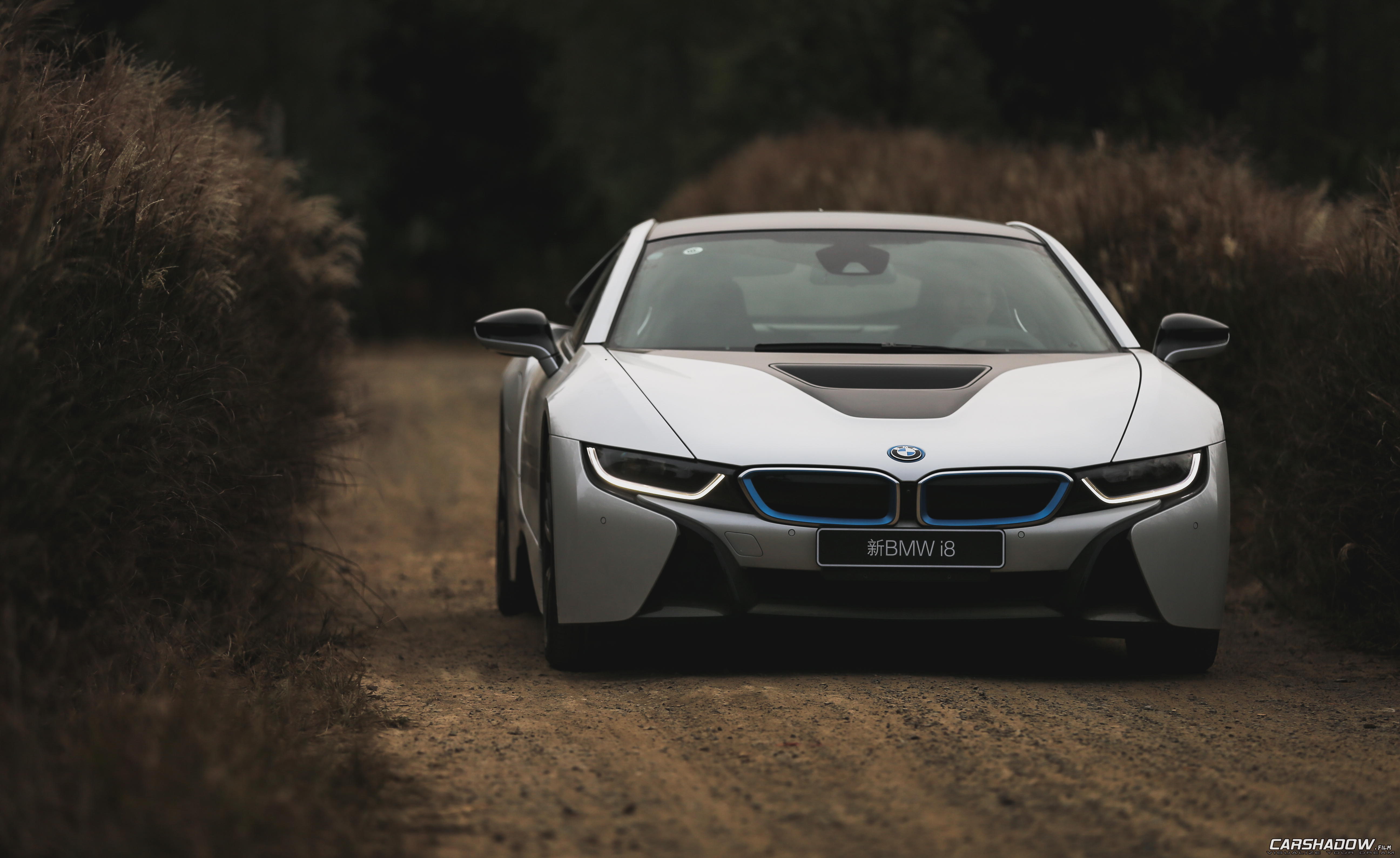 Скачать bmw i8, bmw, автомобиль, белый, вид спереди обои на рабочий стол