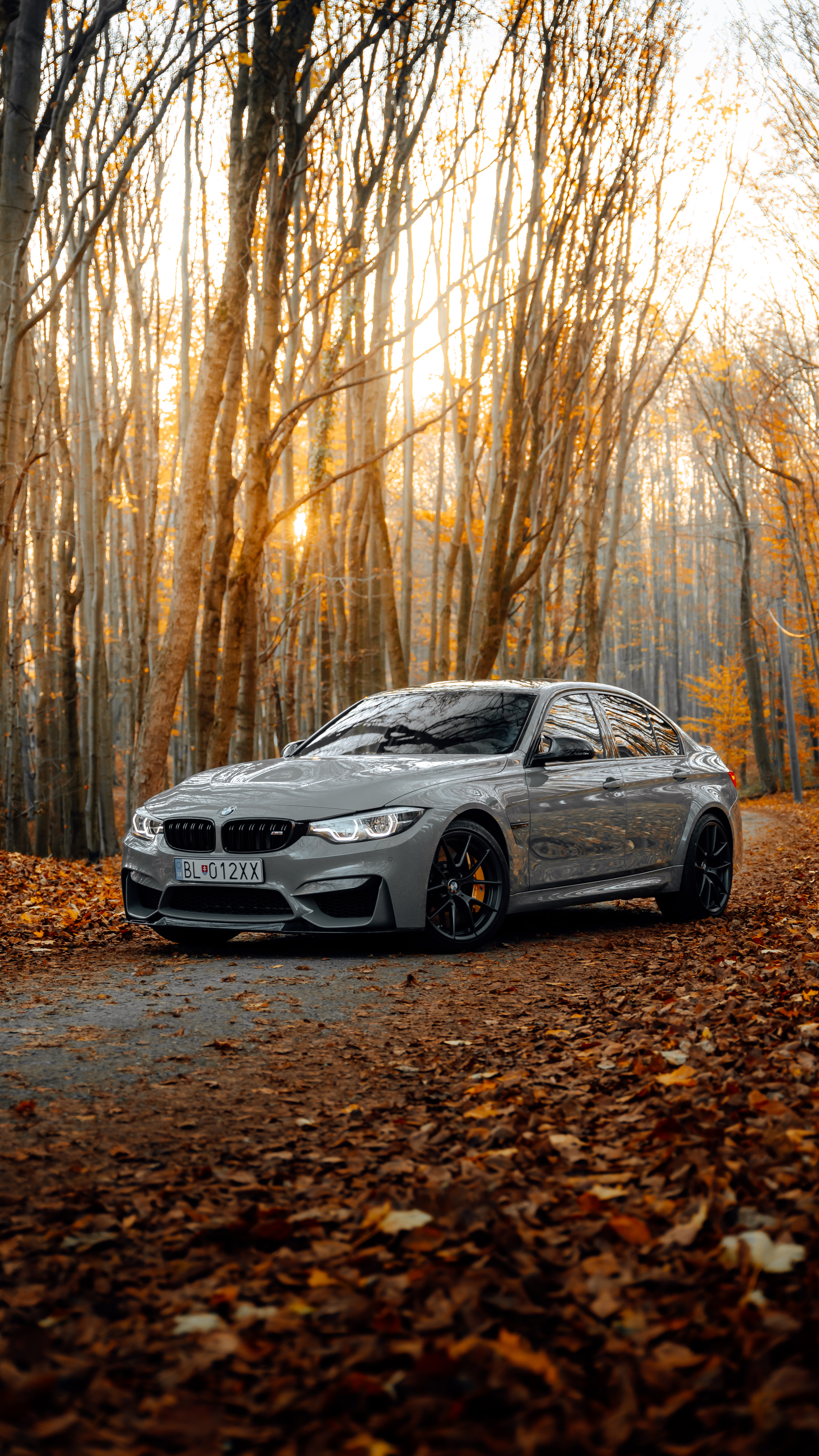 Скачать bmw m3, bmw, автомобиль, серый, вид сбоку, лес, осень обои для телефона