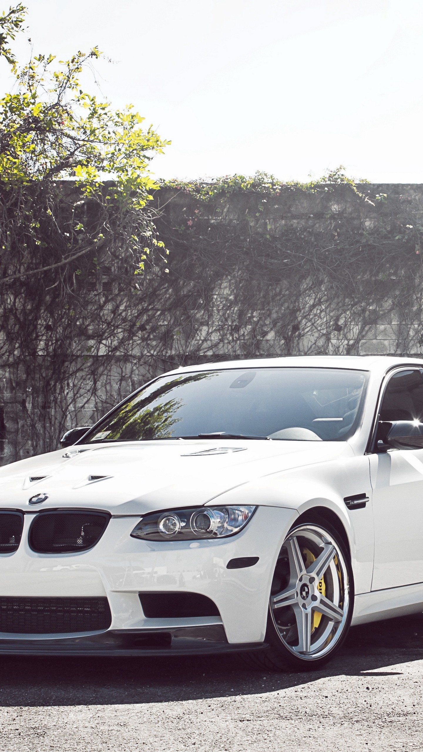 Скачать bmw, седан, white, wheels, tree, бмв, белый, m3, e90 обои для телефона