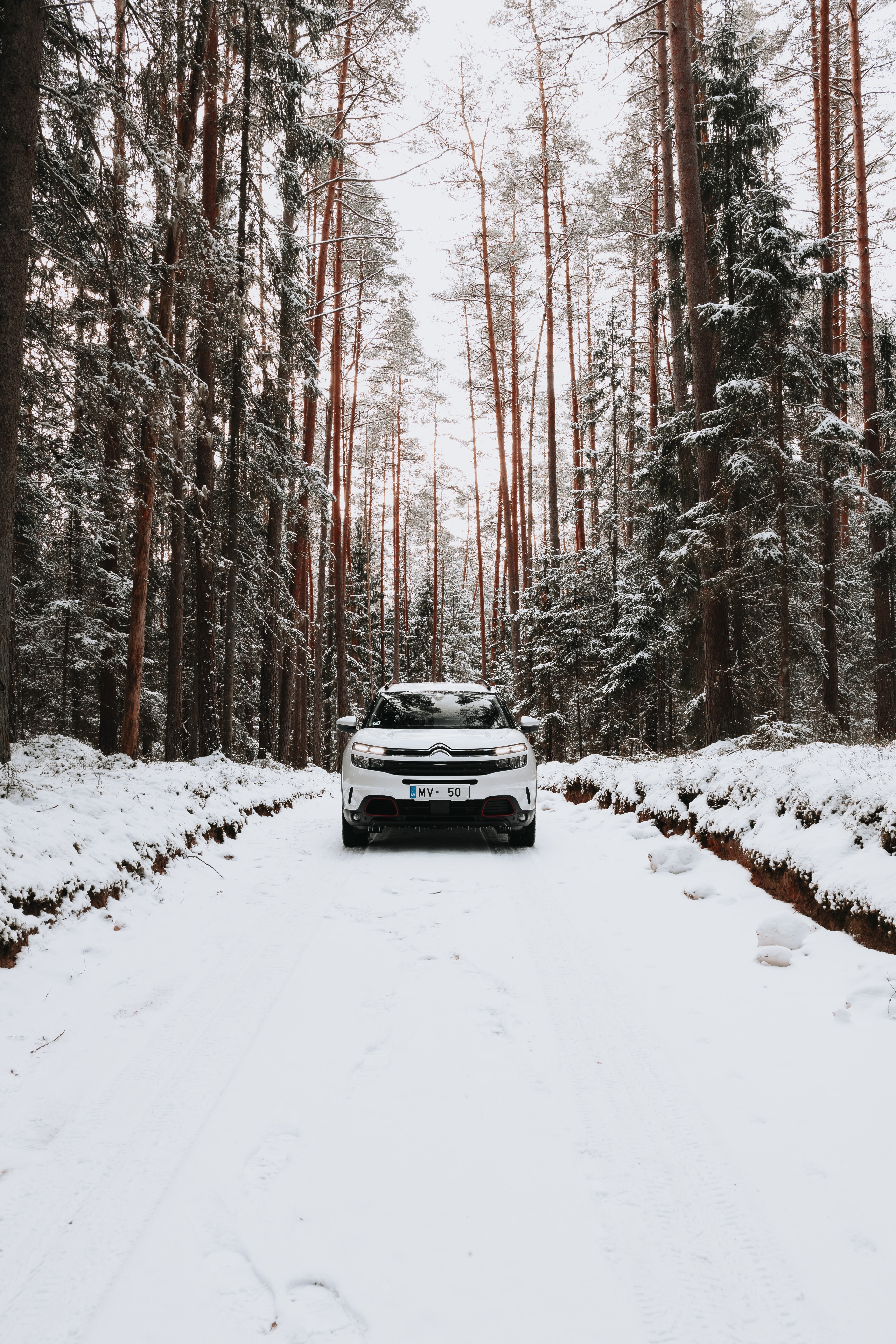 Скачать citroen, автомобиль, внедорожник, белый, лес, снег, зима обои для телефона