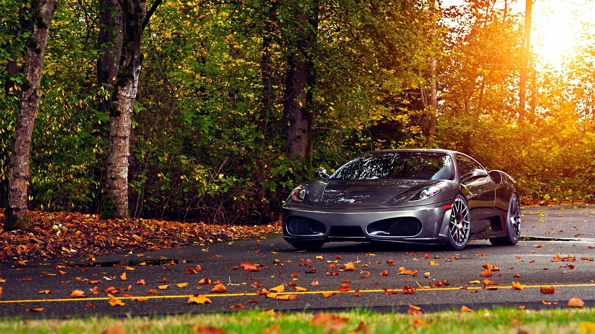 Скачать деревья, листья, ferrari, ferrari f430 scuderia, осень обои на рабочий стол