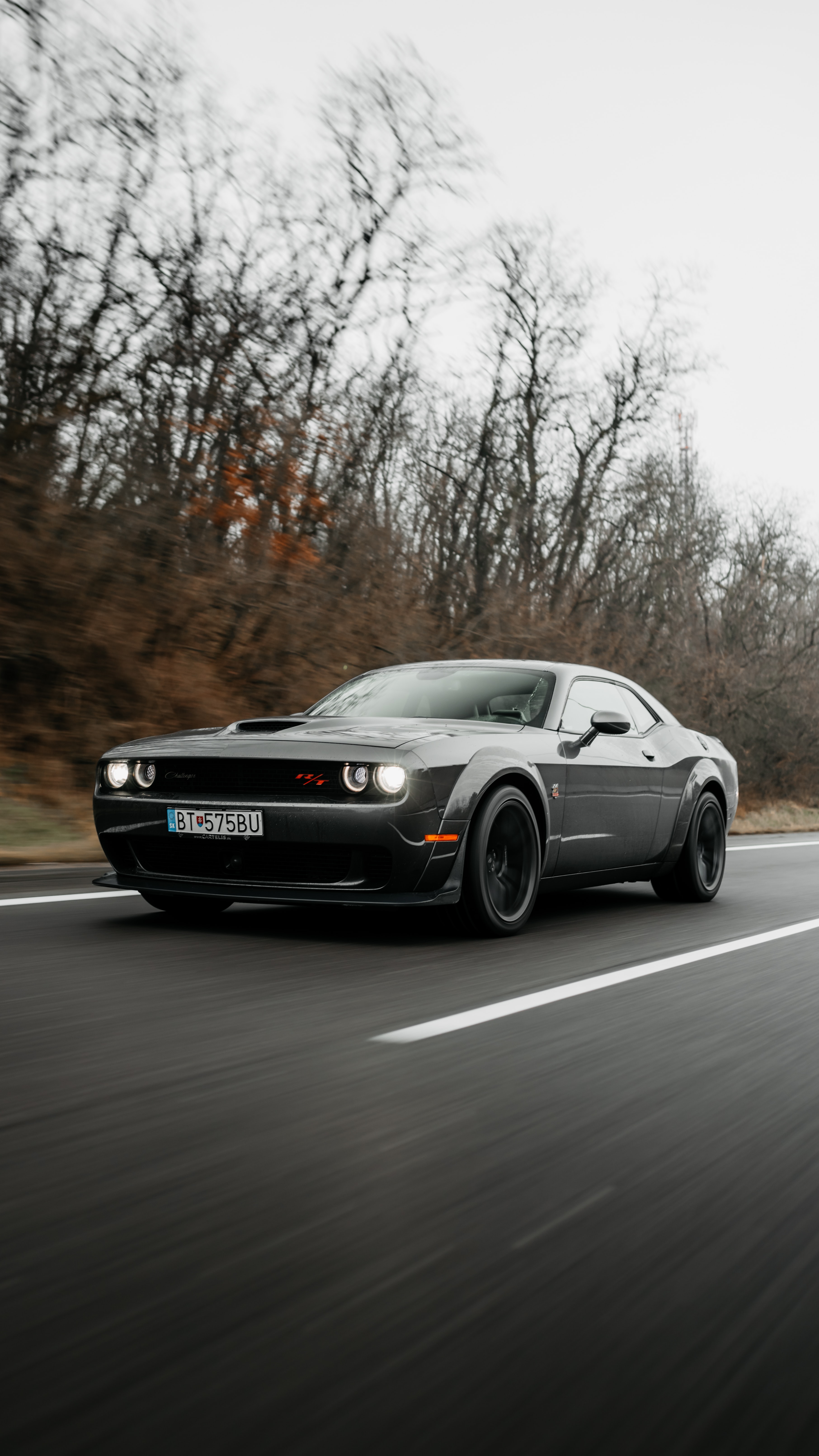 Скачать dodge challenger, dodge, автомобиль, маслкар, серый, дорога обои для телефона