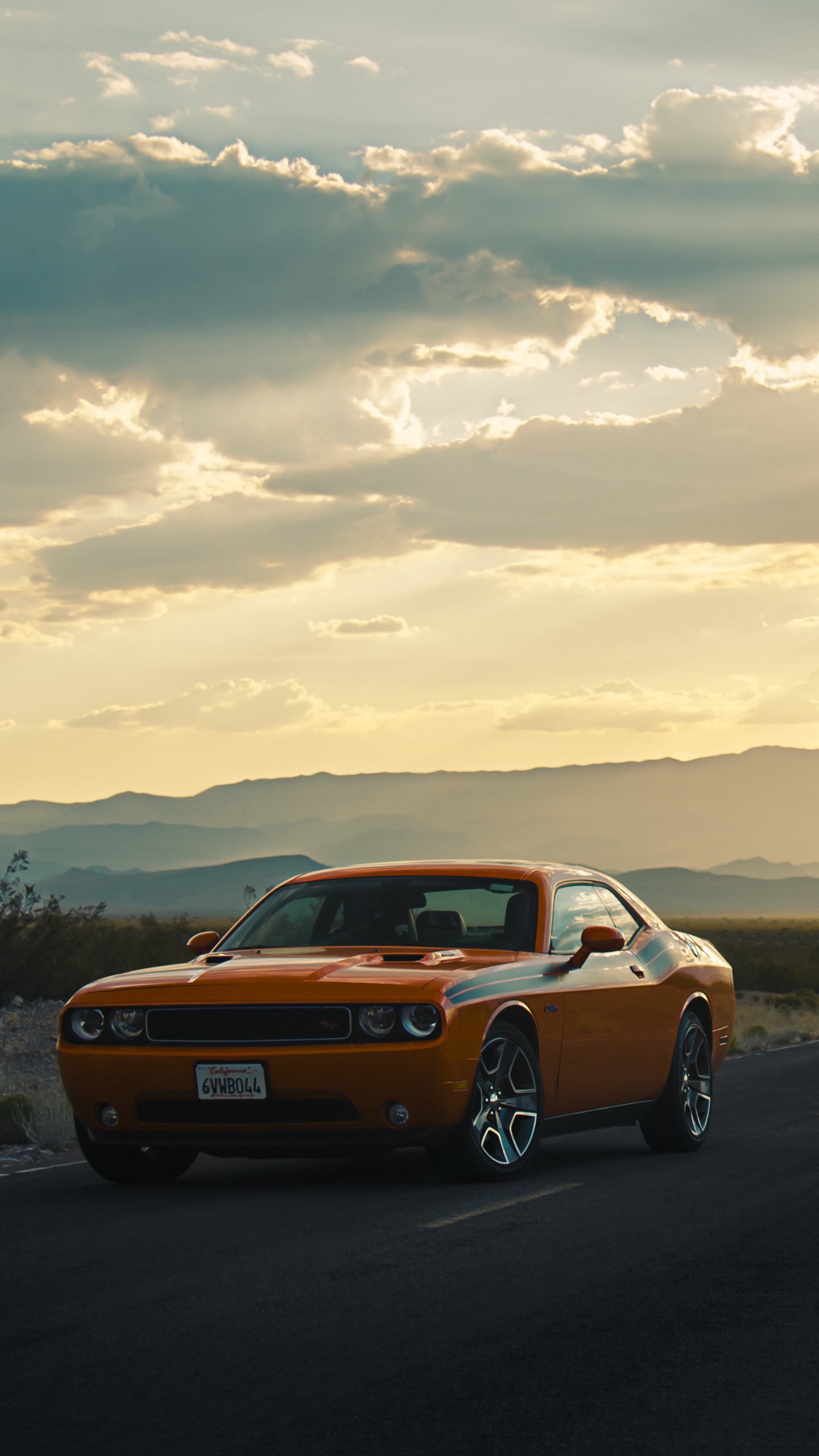 Скачать dodge, challenger, вид сбоку, дорога обои для телефона