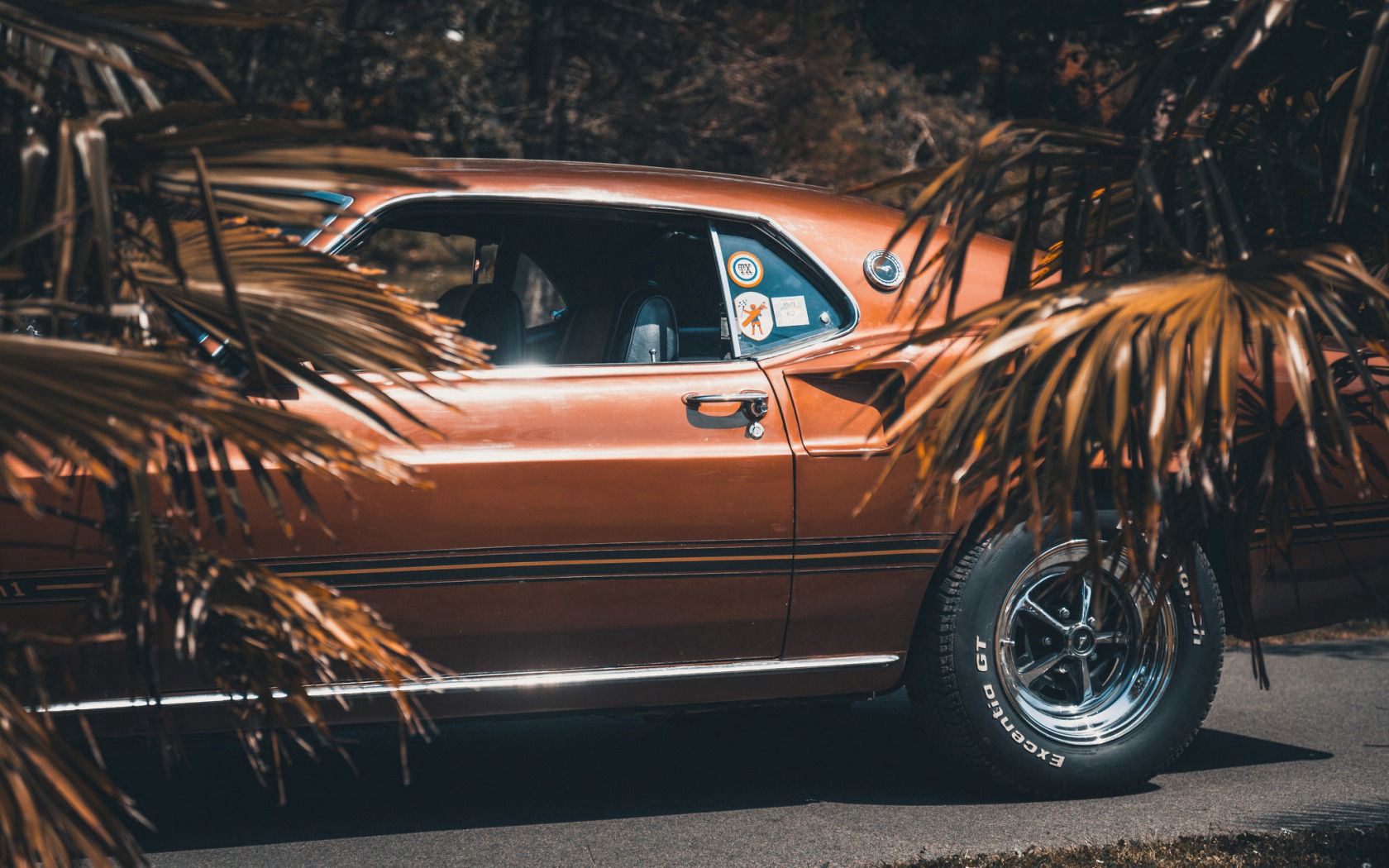 Скачать ford mustang, 1969, вид сбоку, колесо обои на рабочий стол