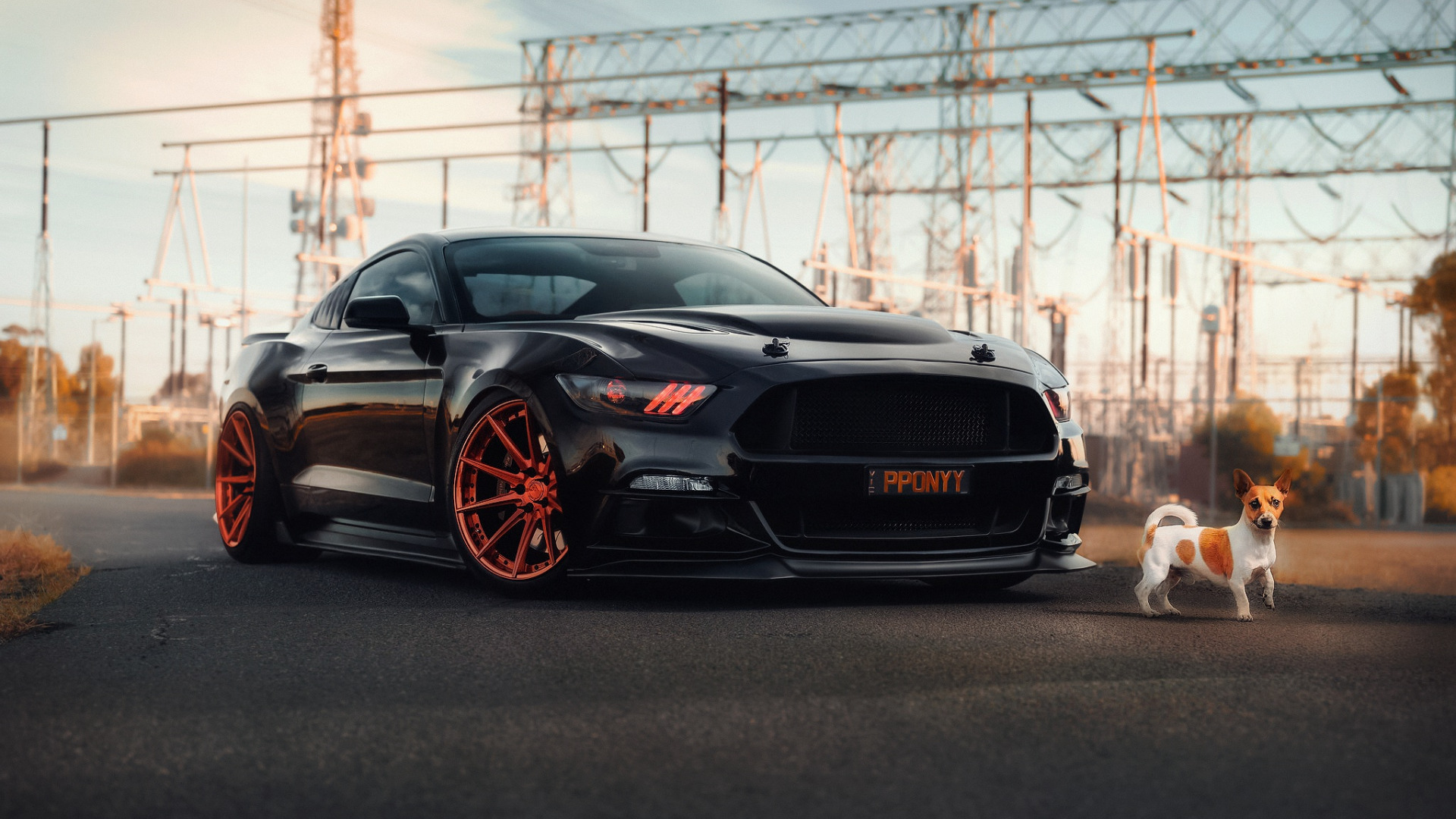 Скачать Ford Mustang обои на рабочий стол