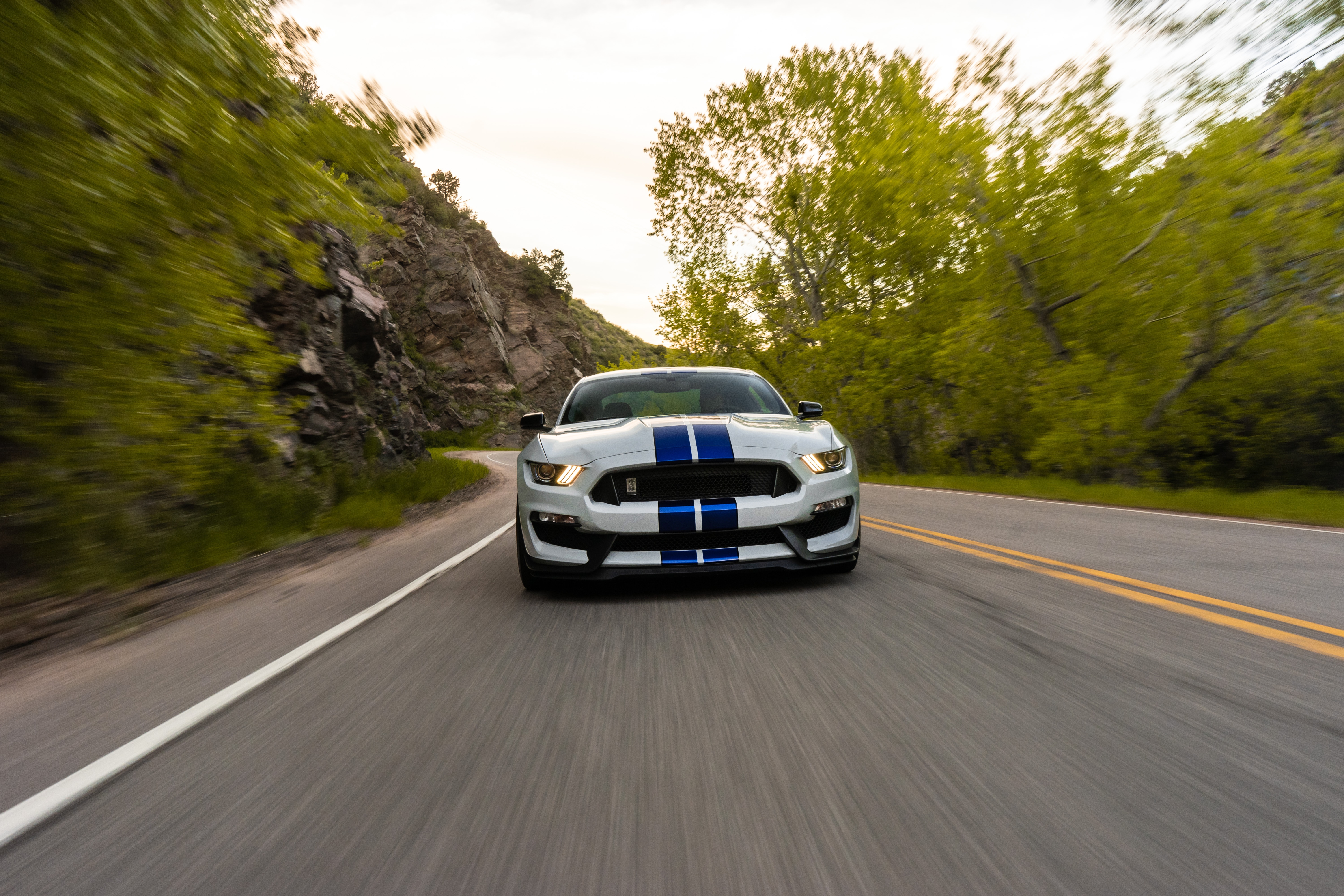 Скачать ford mustang gt350, ford, машина, спорткар, дорога, скорость обои на рабочий стол