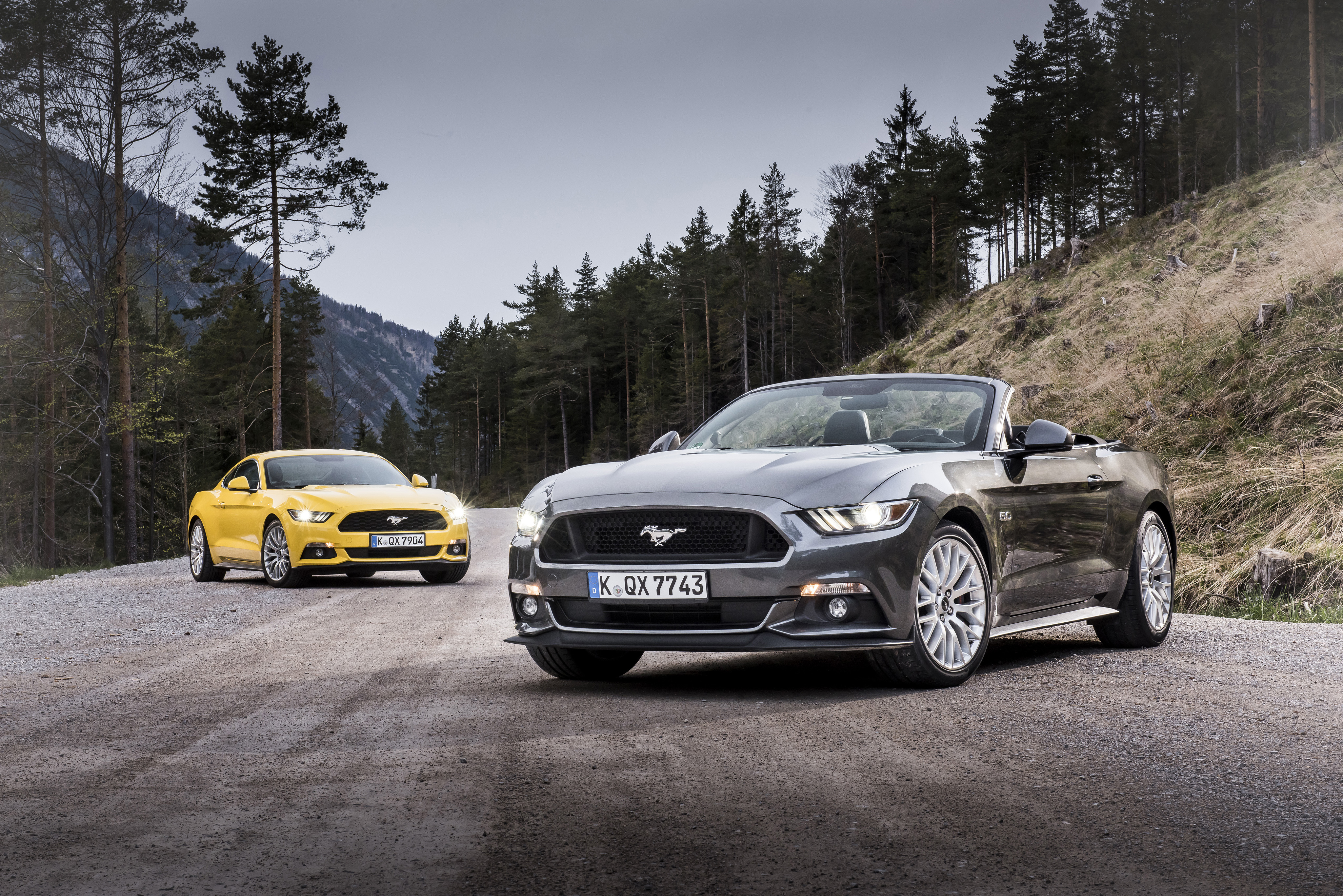 Скачать ford mustang, кабриолет, дорога обои на рабочий стол