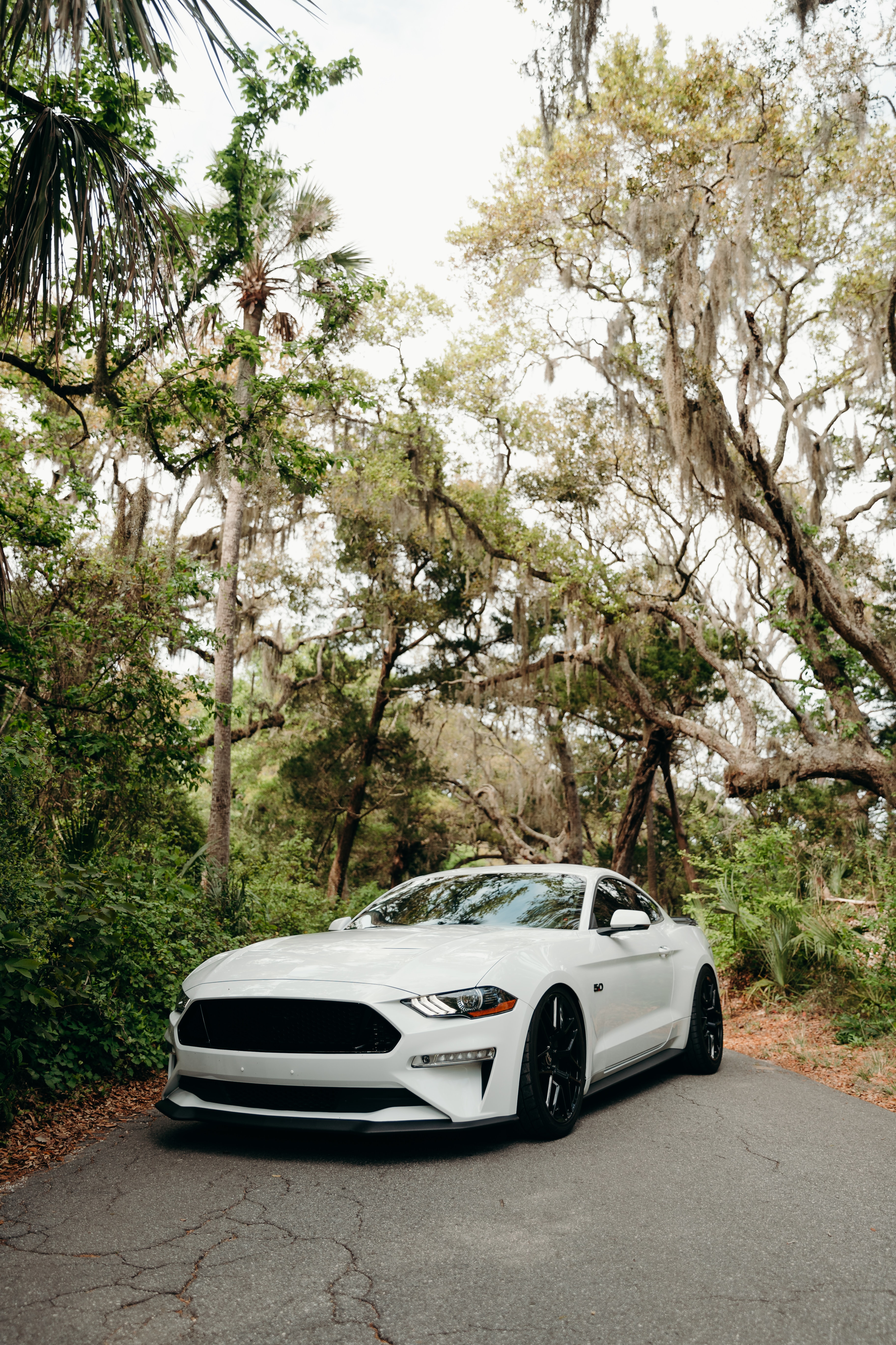 Скачать ford mustang, mustang, автомобиль, спорткар, белый обои на рабочий стол