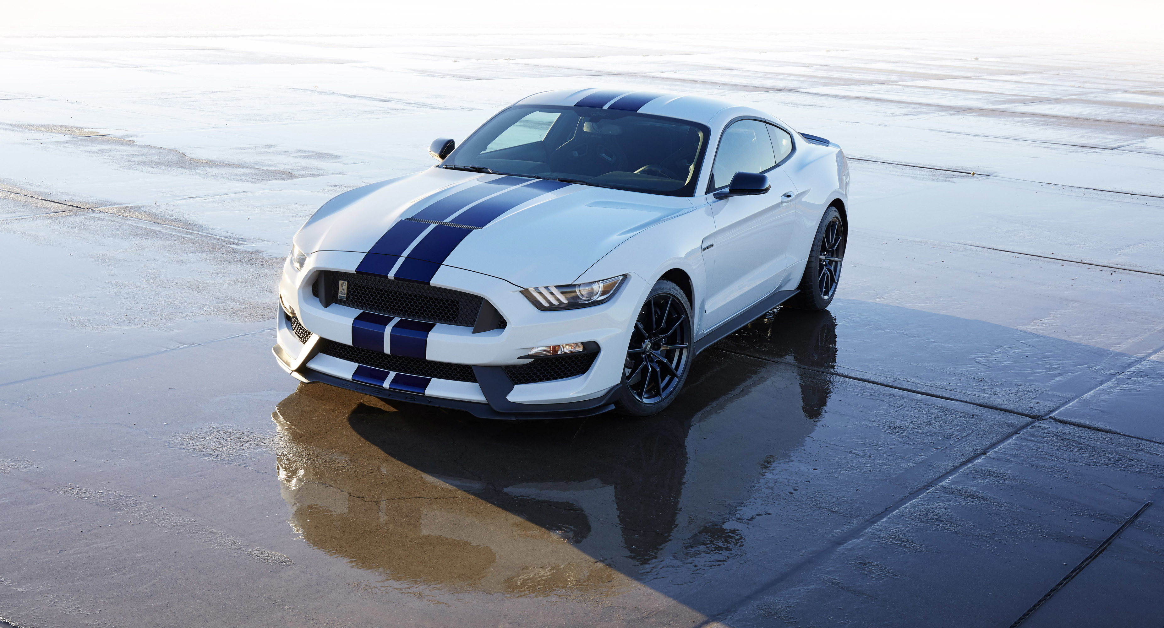 Скачать Ford Mustang Shelby 300 обои на рабочий стол