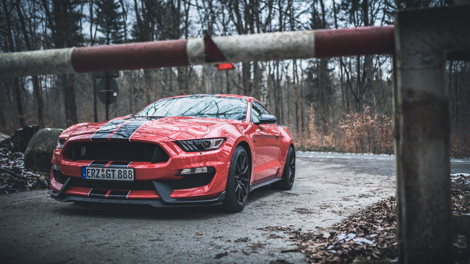 Скачать Ford Mustang Shelby GT350 обои на рабочий стол