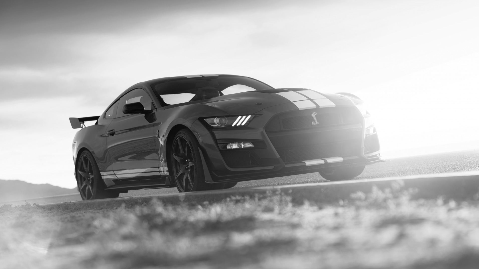 Скачать Ford Mustang Shelby GT500 обои на рабочий стол