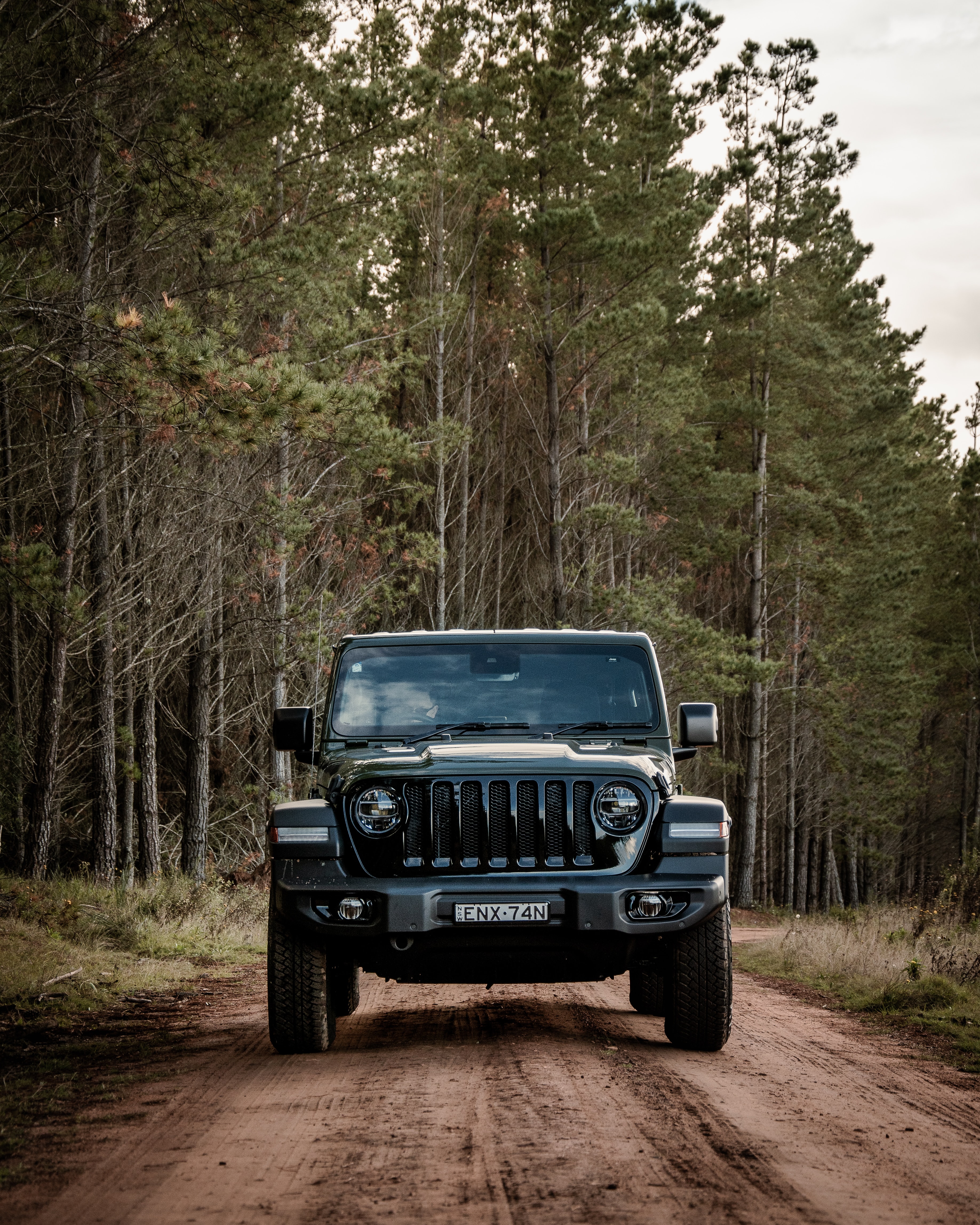 Скачать jeep wrangler, jeep, автомобиль, внедорожник, черный, лес обои для телефона