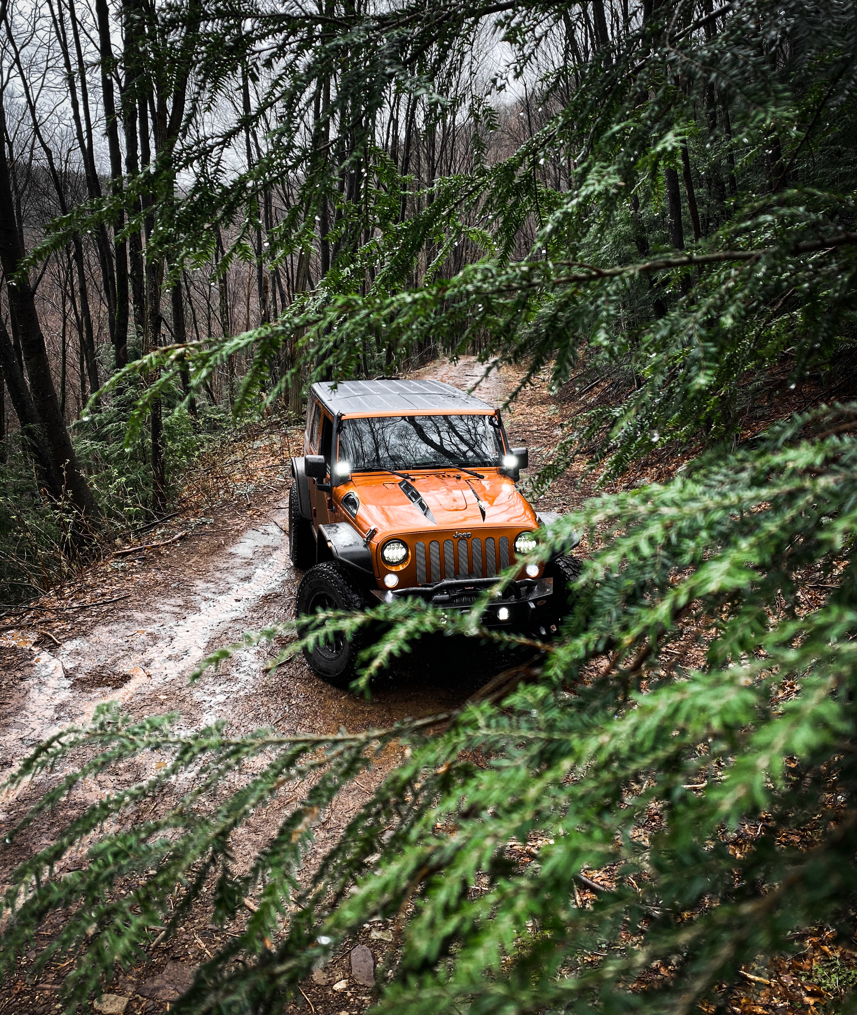 Скачать jeep wrangler, jeep, автомобиль, внедорожник, коричневый, вид спереди, ветки обои для телефона