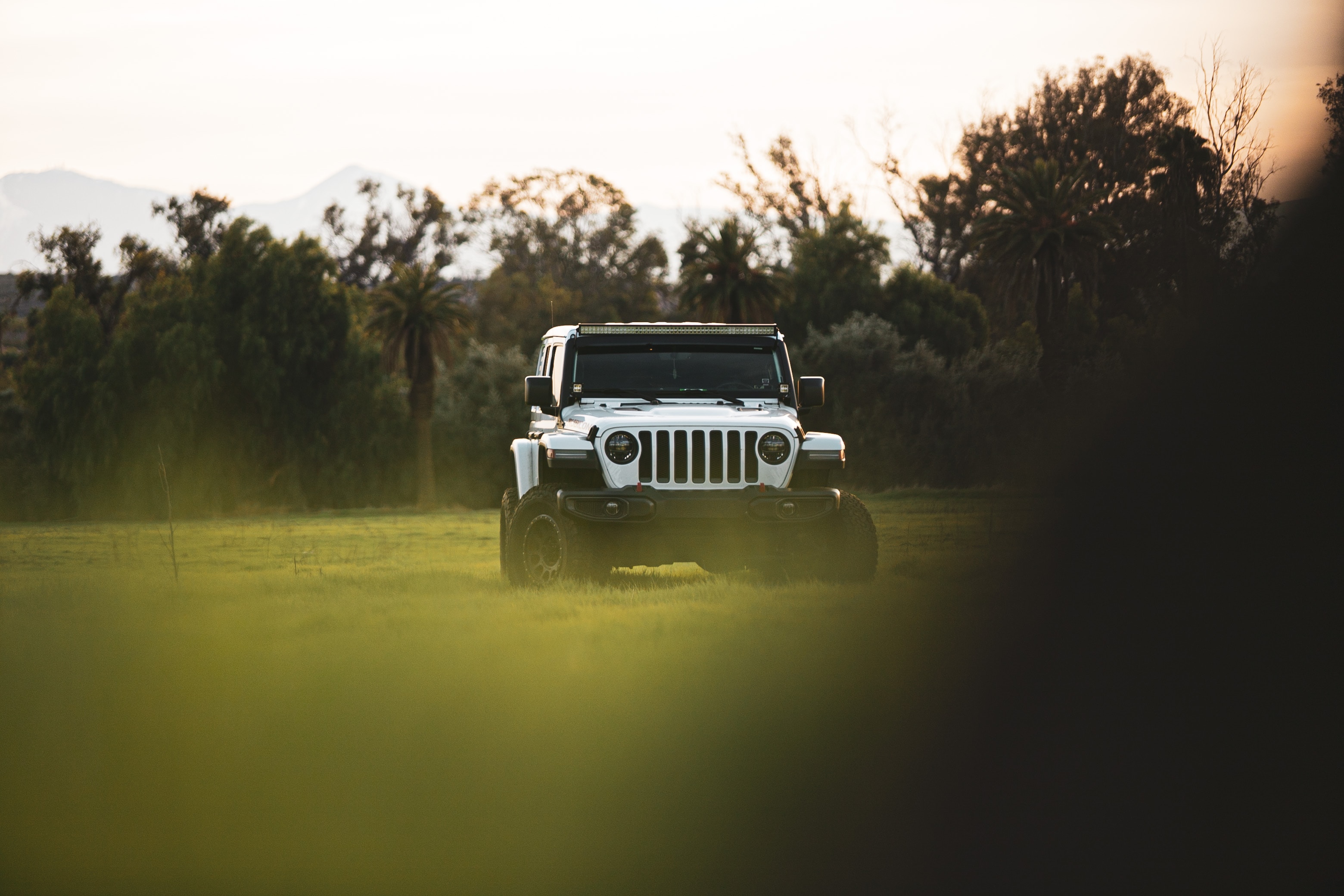 Скачать jeep wrangler, jeep, машина, внедорожник, белый обои на рабочий стол