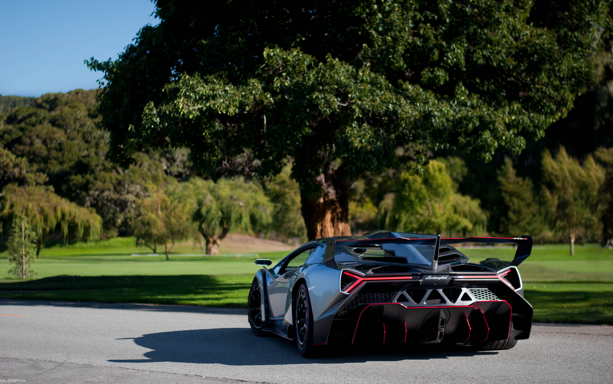 Скачать lamborghini, veneno, суперкар, вид сзади, природа обои на рабочий стол