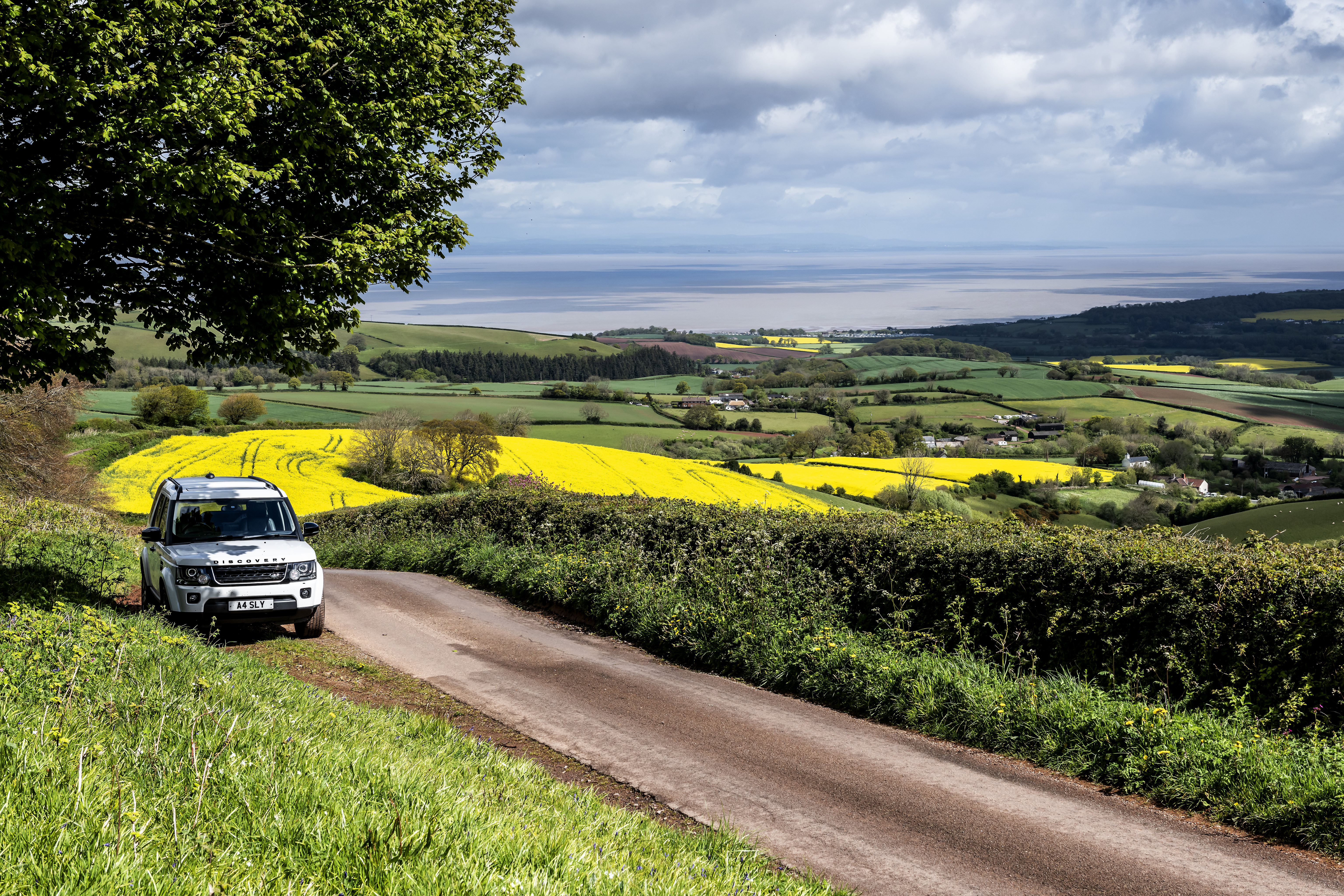 Скачать land rover, автомобиль, внедорожник, белый, дорога, природа обои на рабочий стол