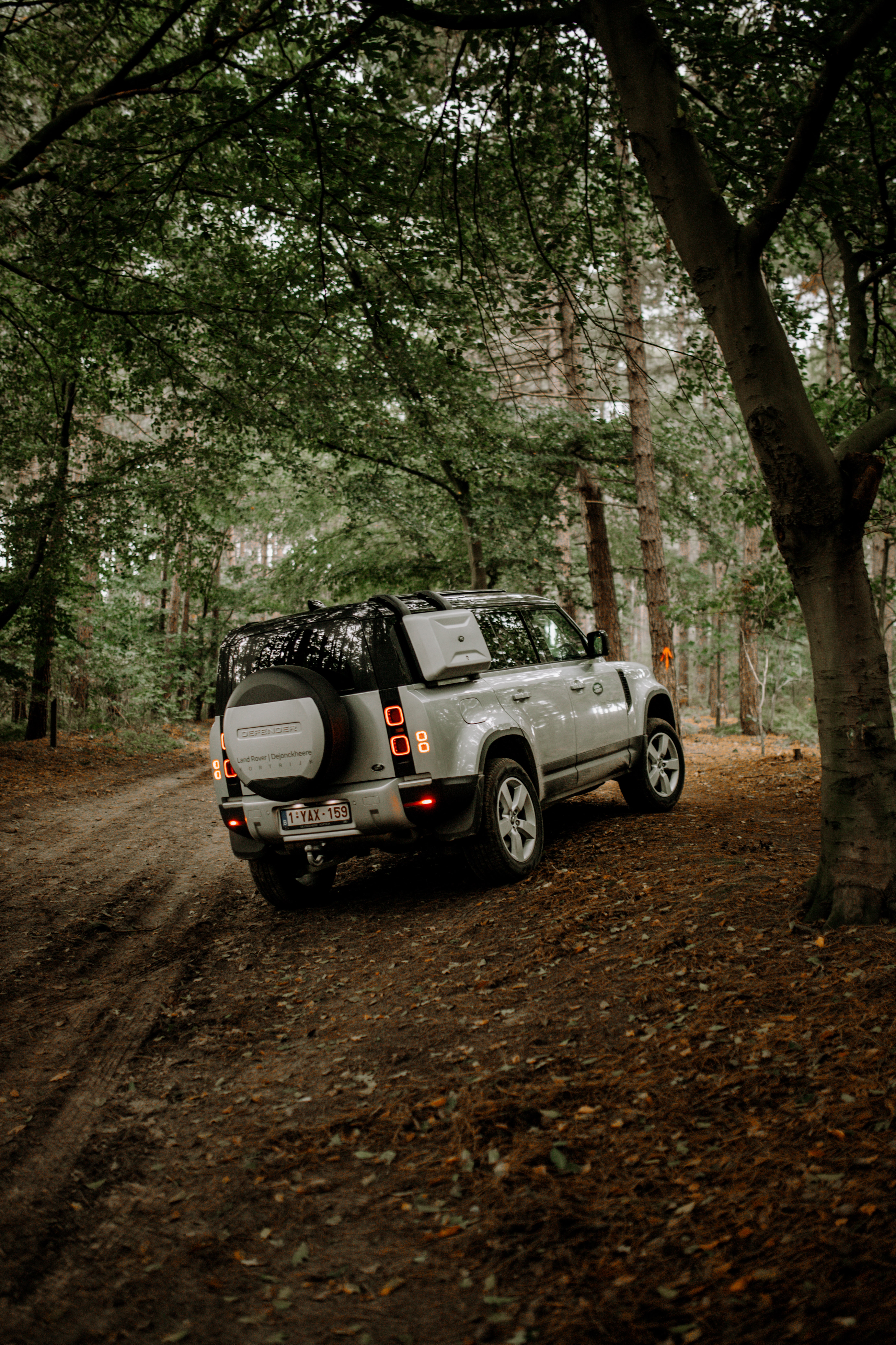 Скачать land rover, автомобиль, внедорожник, вид сзади, лес обои для телефона