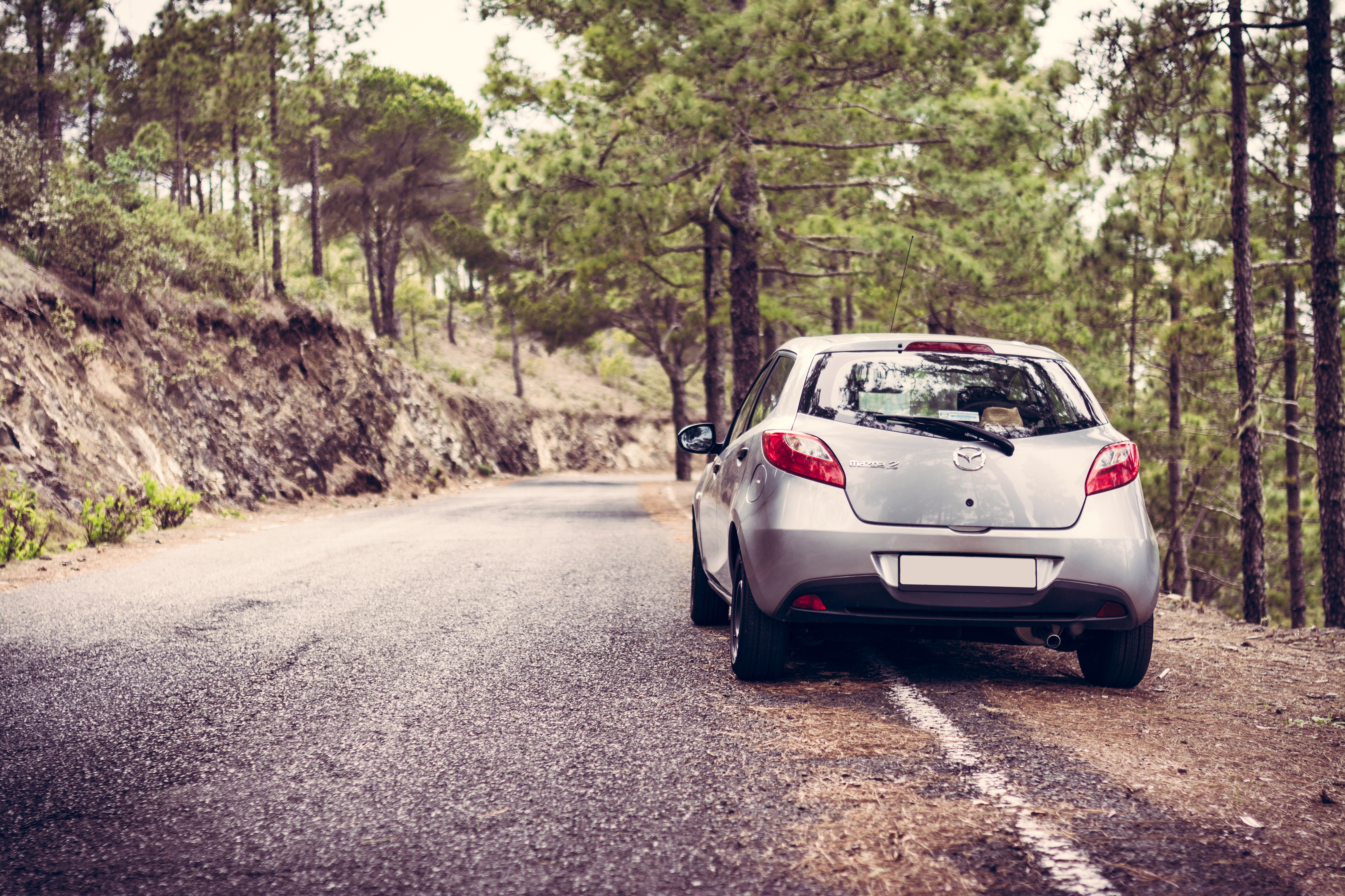 Скачать mazda 2, вид сзади, серебристый обои на рабочий стол