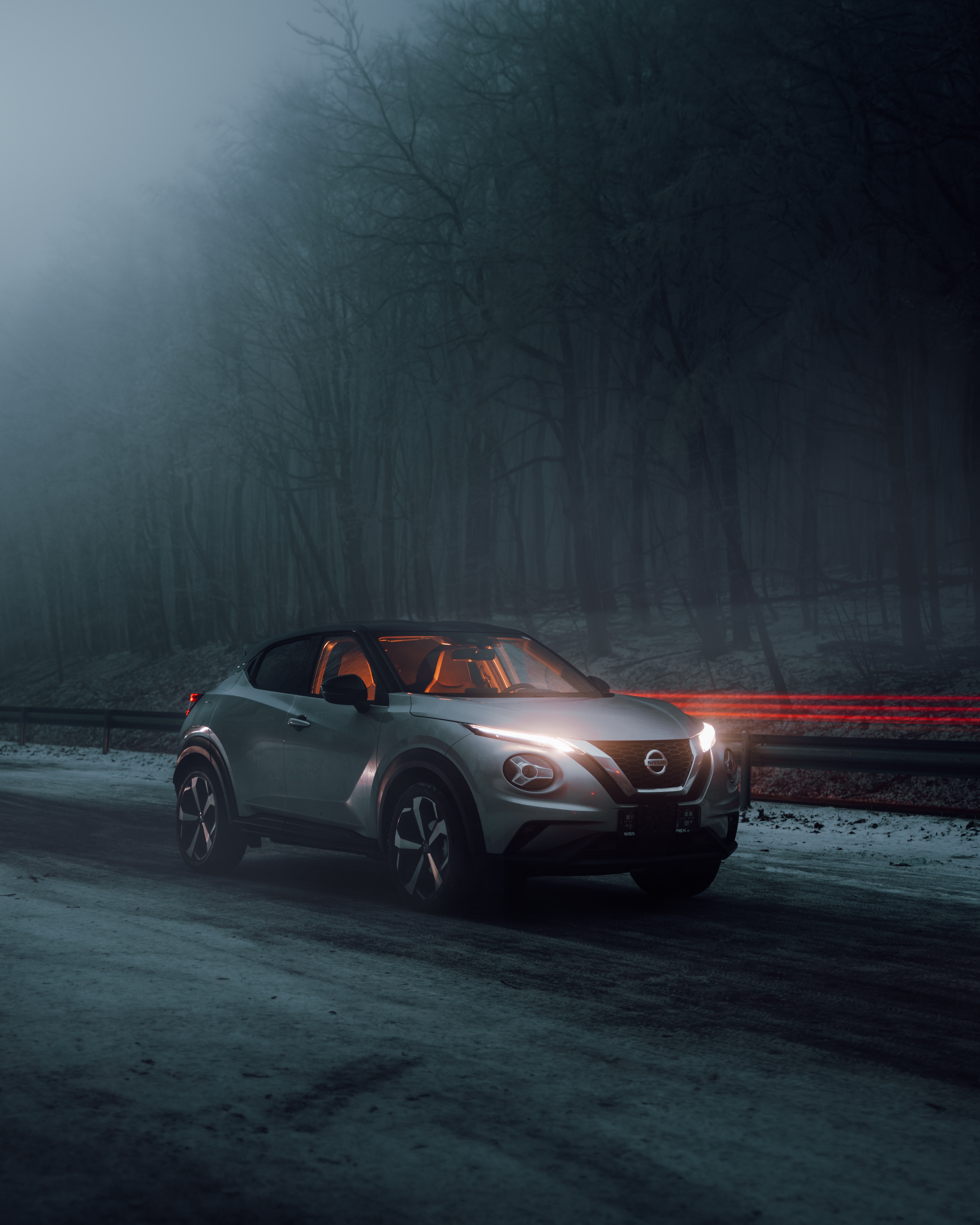 Скачать nissan juke, nissan, автомобиль, серый, вид сбоку, туман, дорога обои для телефона