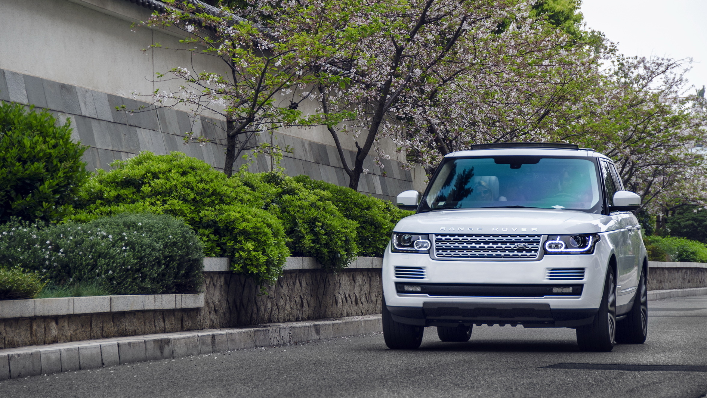 Скачать range rover, белый, внедорожник, авто обои на рабочий стол