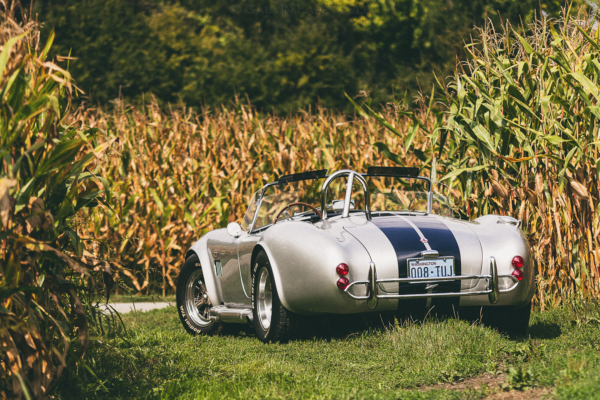 Скачать shelby, cobra, вид сзади, авто обои на рабочий стол