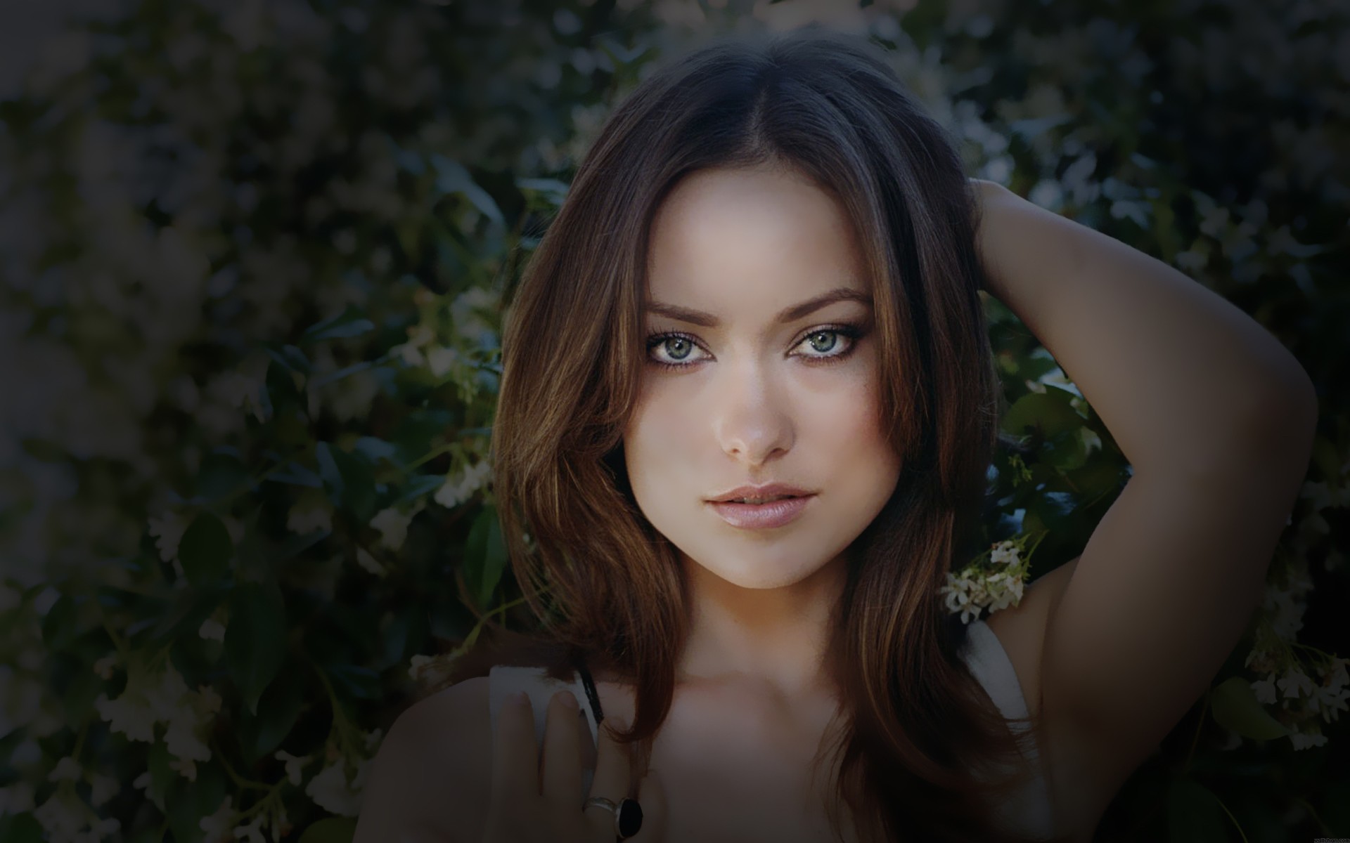 Скачать Olivia Wilde обои на рабочий стол