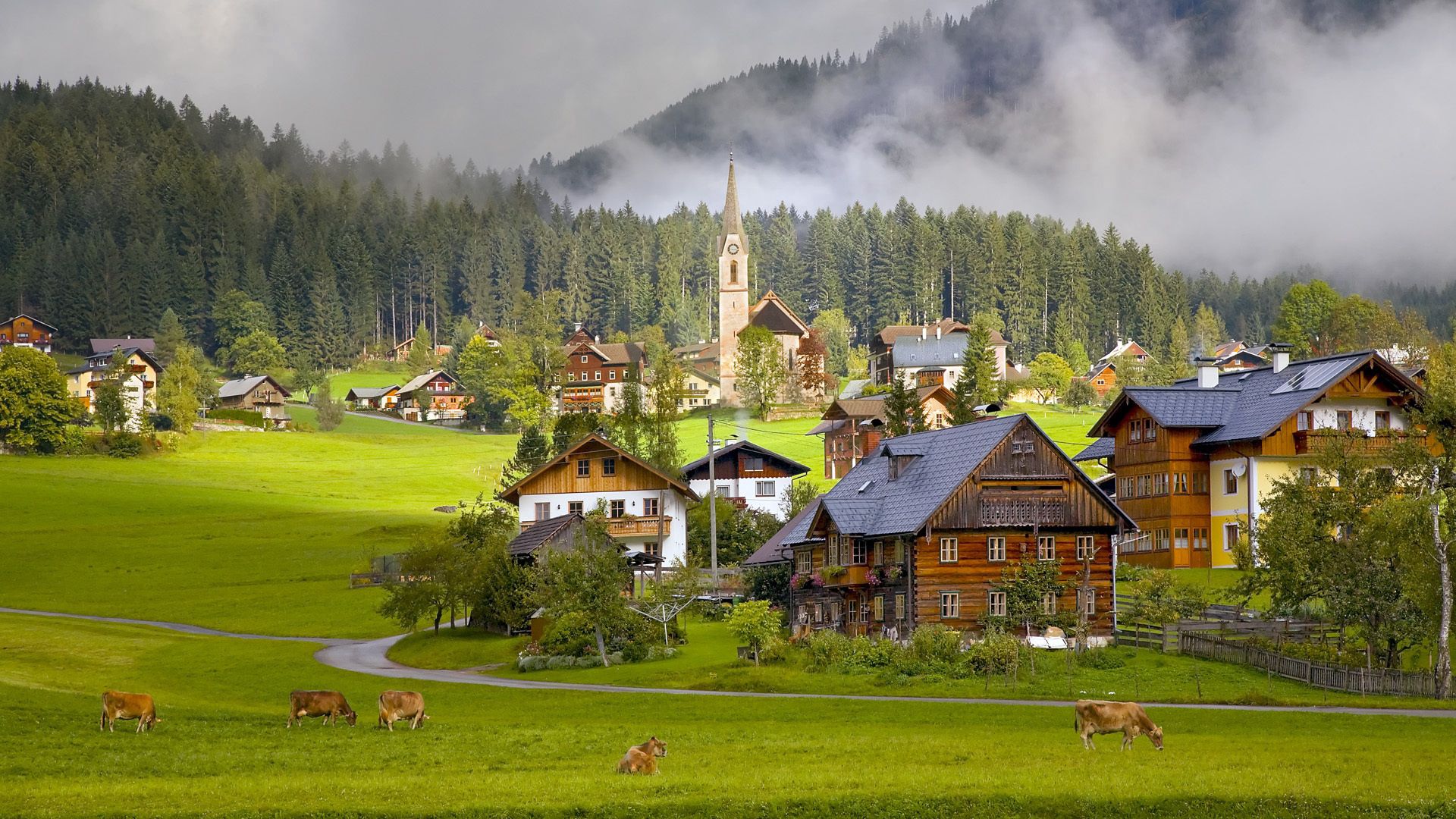 Скачать австрия, austria, gosau, гозау, деревня, дома, коровы обои на рабочий стол