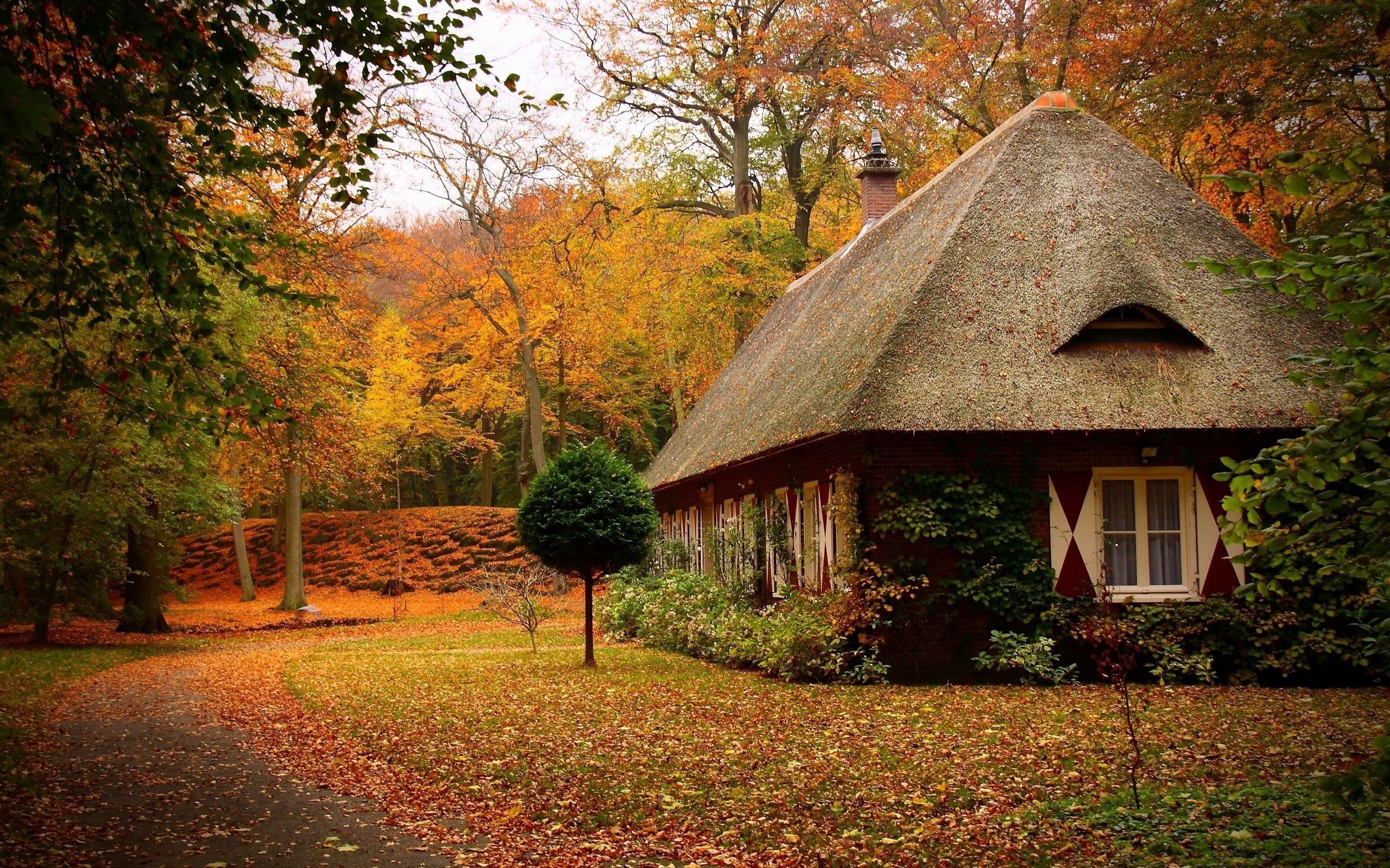 Скачать cabins, лес, осень, домик, пейзаж обои на рабочий стол