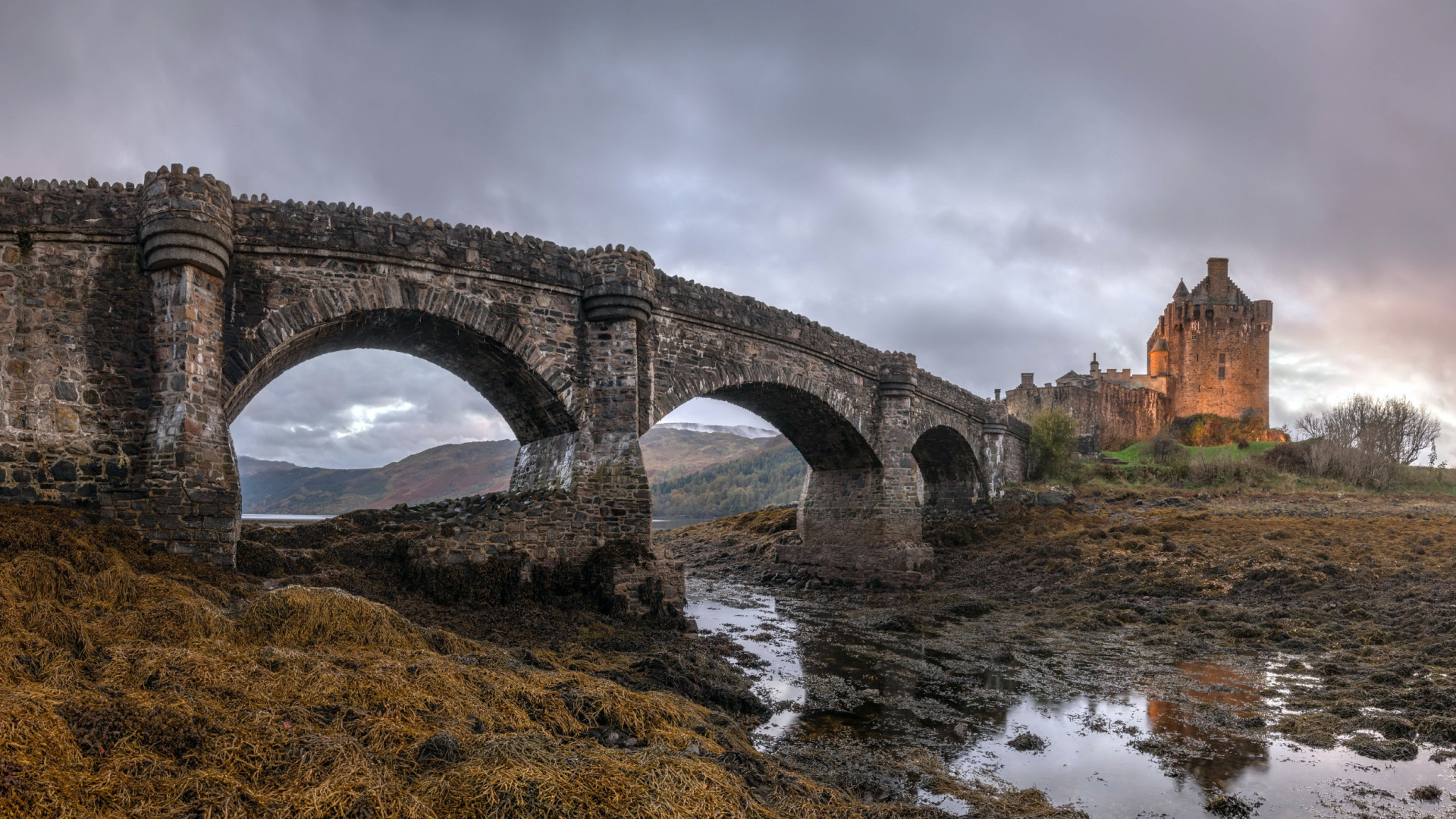 Скачать Scotland обои на рабочий стол