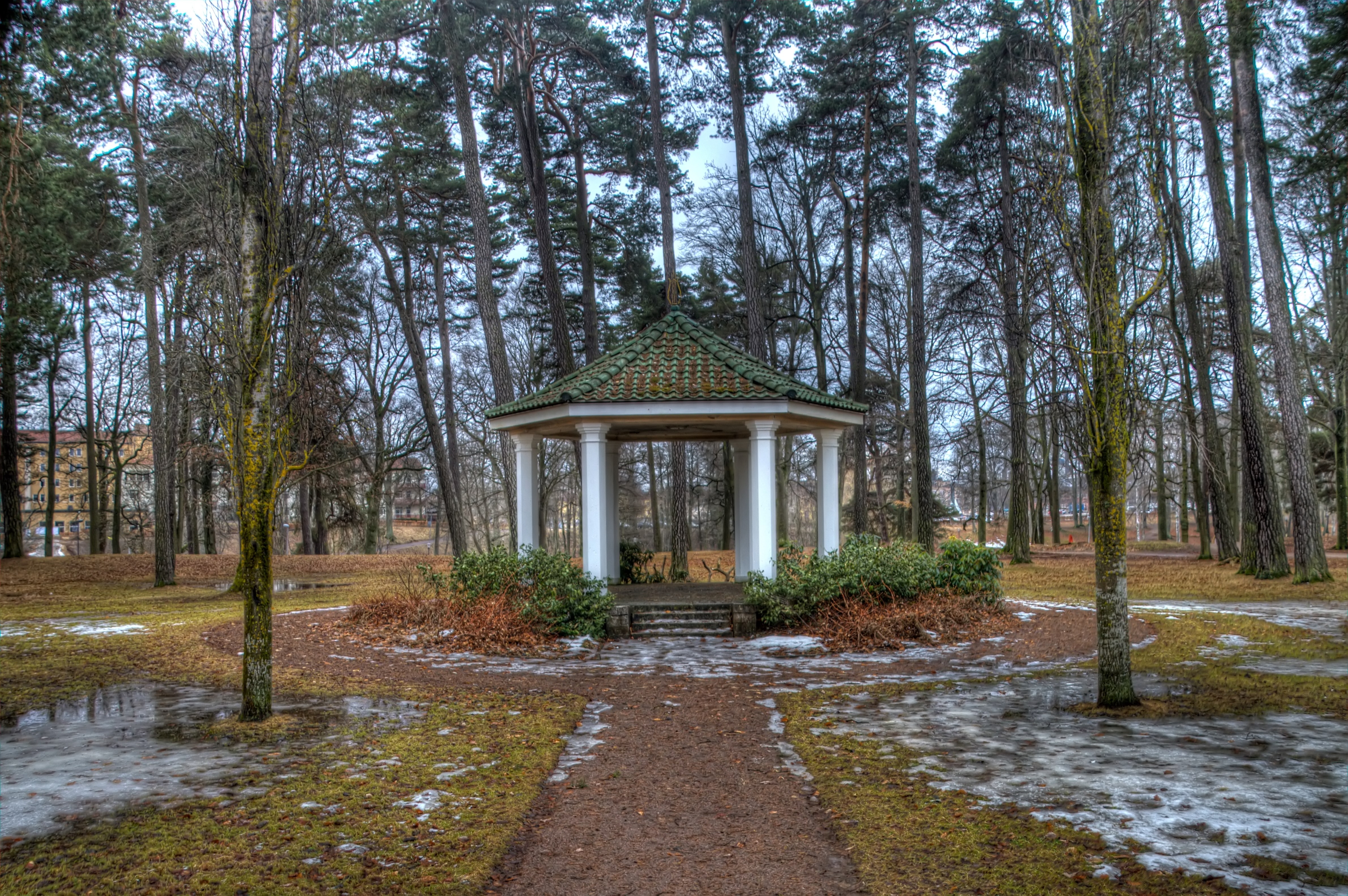 Скачать весна, парк, деревья, пейзаж обои на рабочий стол