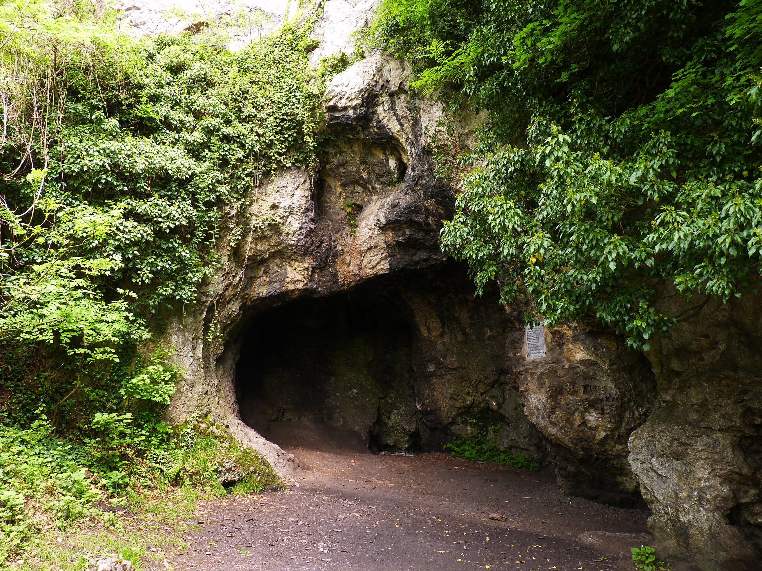 Скачать горы, бельгия, grotto, пещера, природа обои на рабочий стол