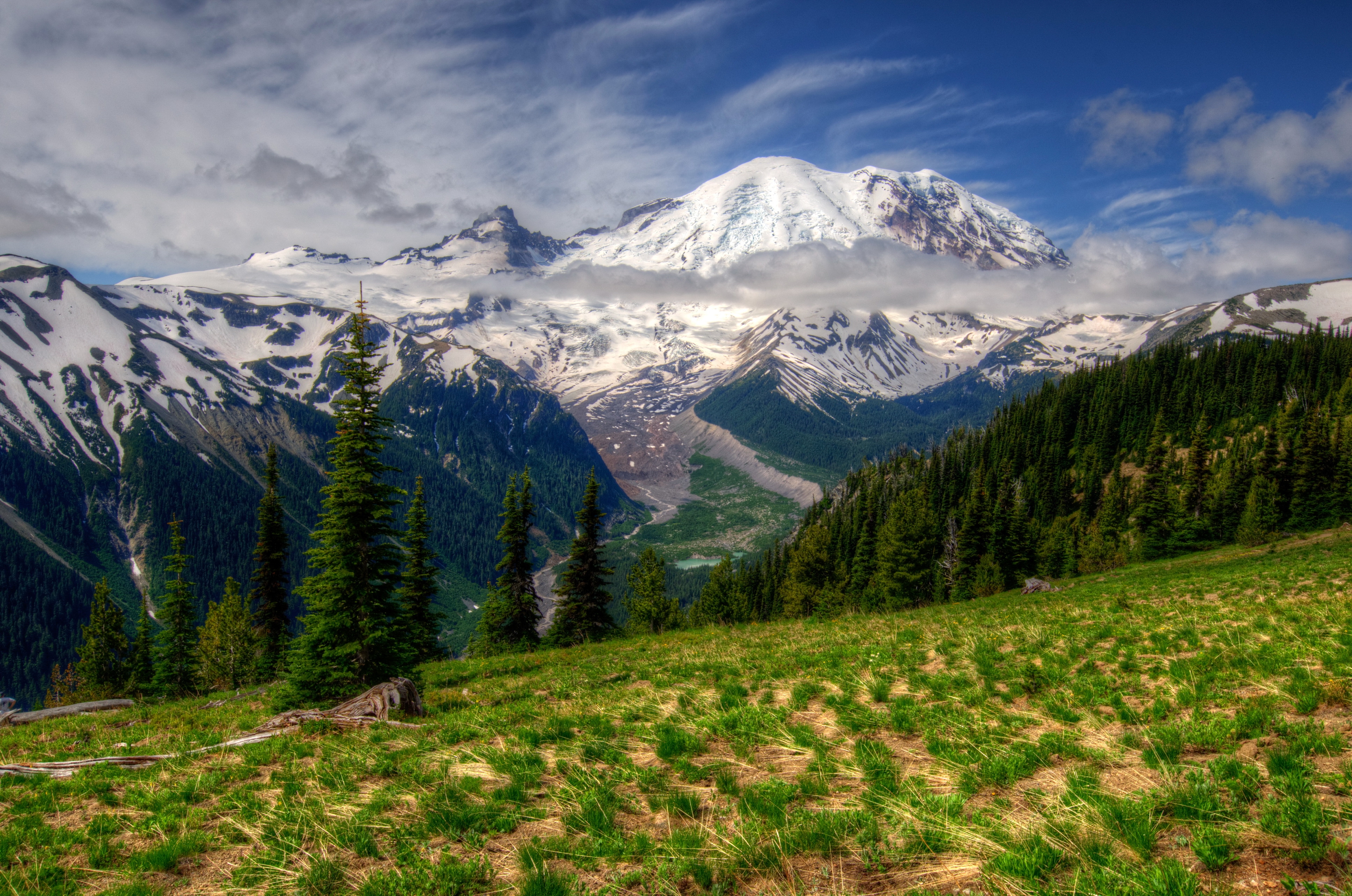 Скачать горы, пейзаж, mt rainier, вашингтон, трава, hdr обои на рабочий стол