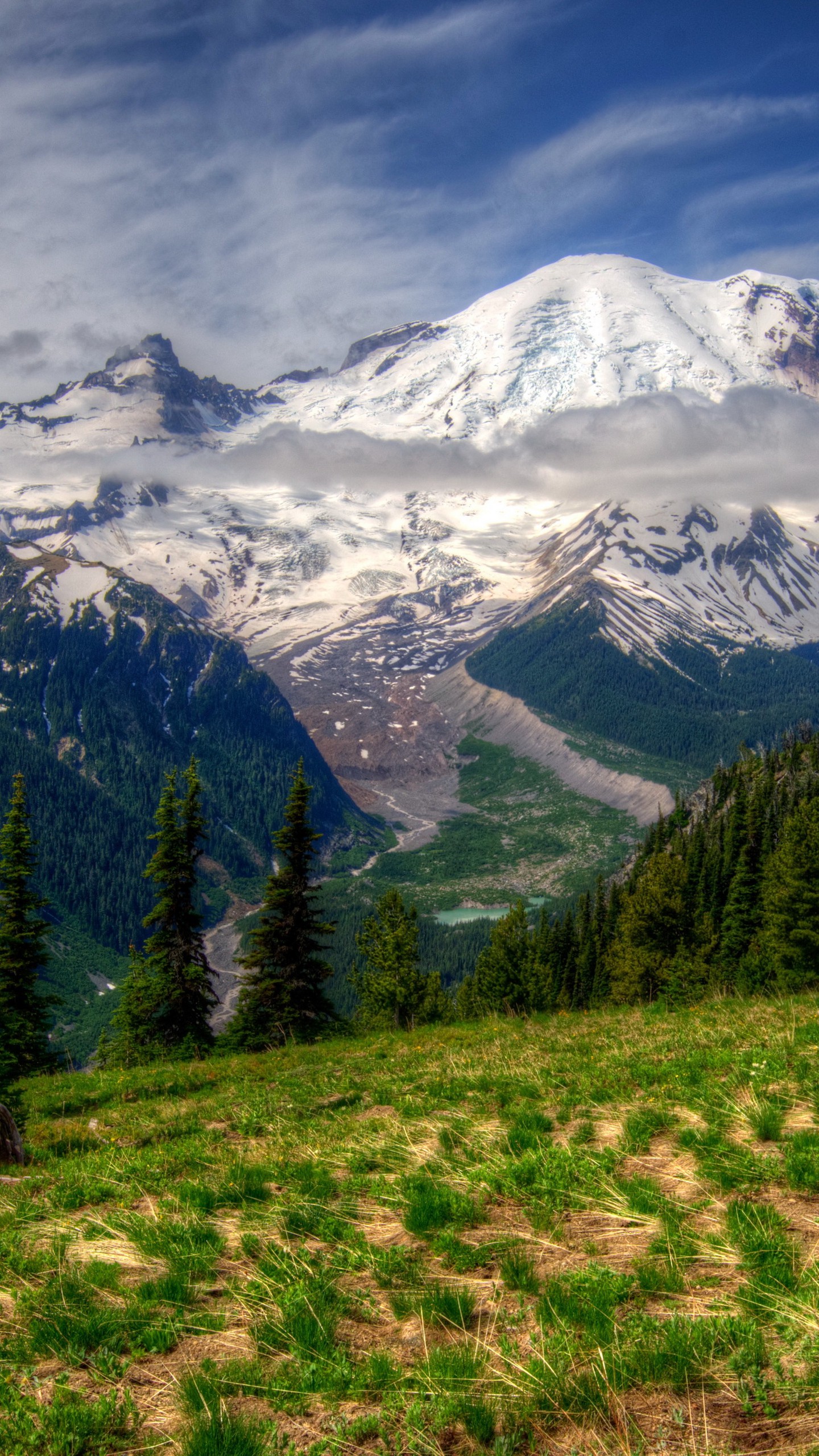 Скачать горы, пейзаж, mt rainier, вашингтон, трава, hdr обои для телефона