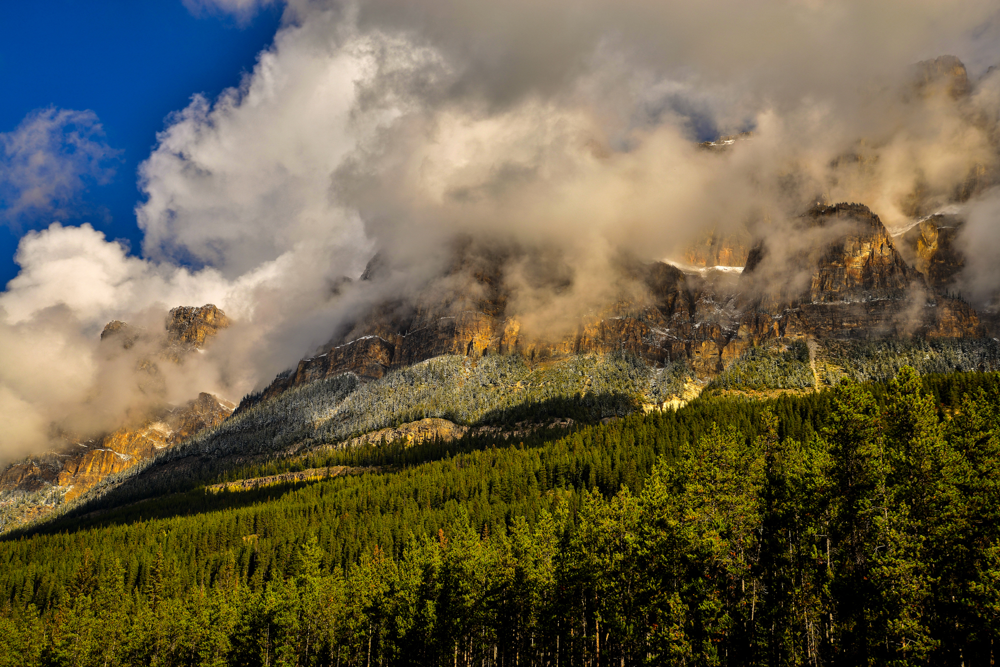 Скачать канада, banff national park, горы, туман, трава обои на рабочий стол