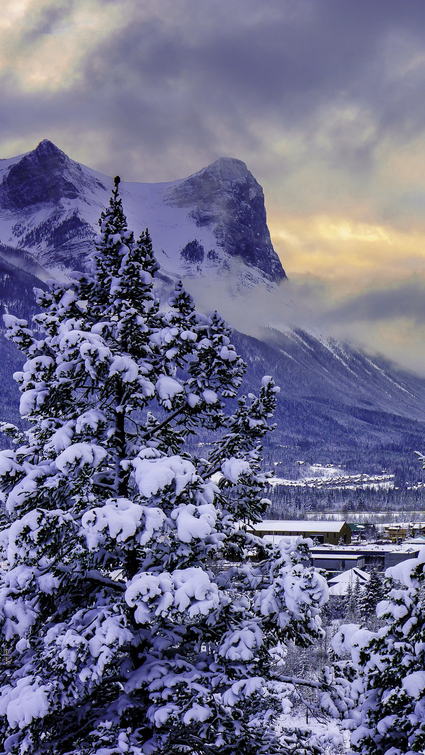 Скачать канада, горы, alberta, banff national park, снег, зима обои для телефона