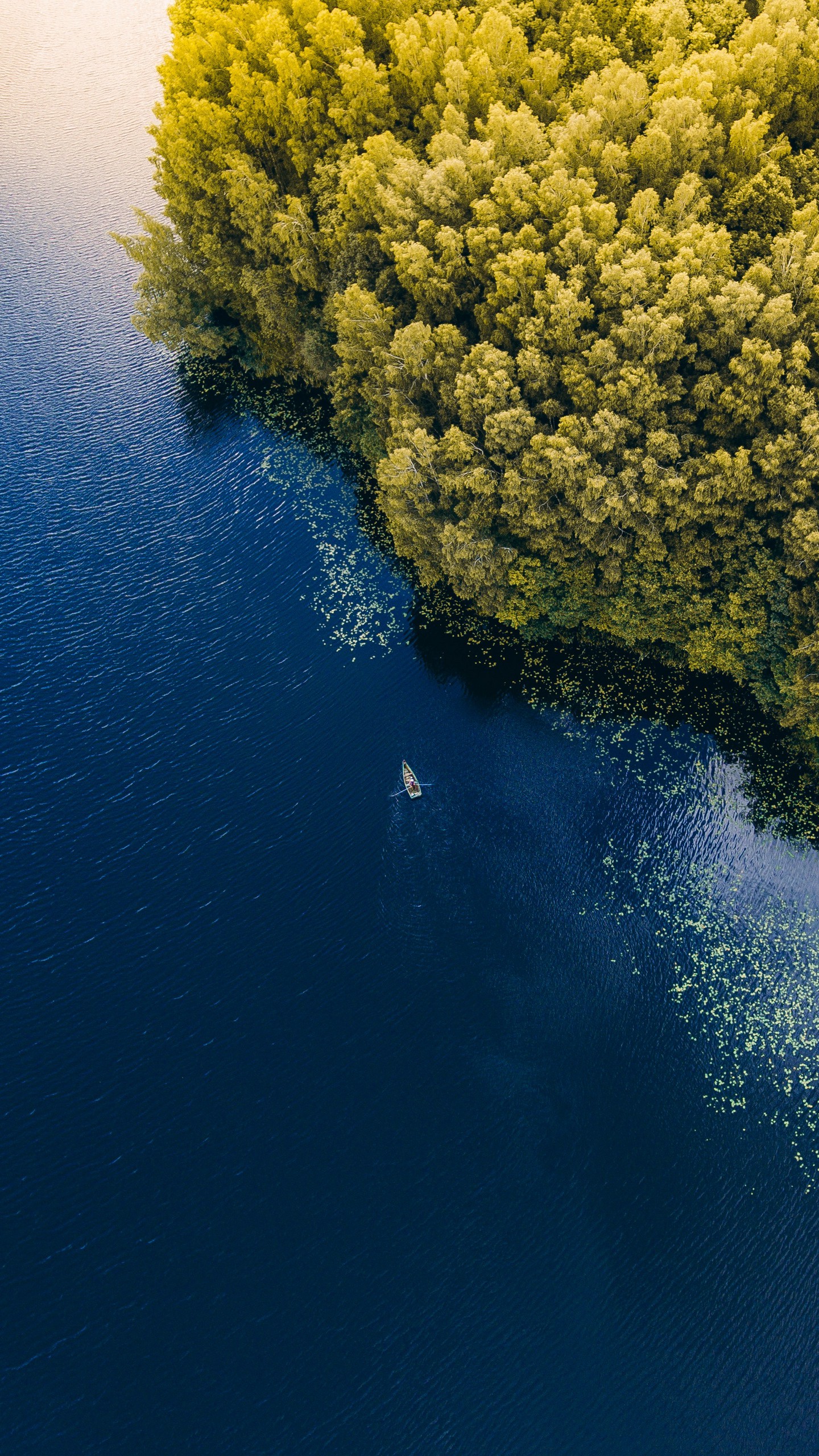 Скачать море, лодка, вид сверху, деревья, литва обои для телефона