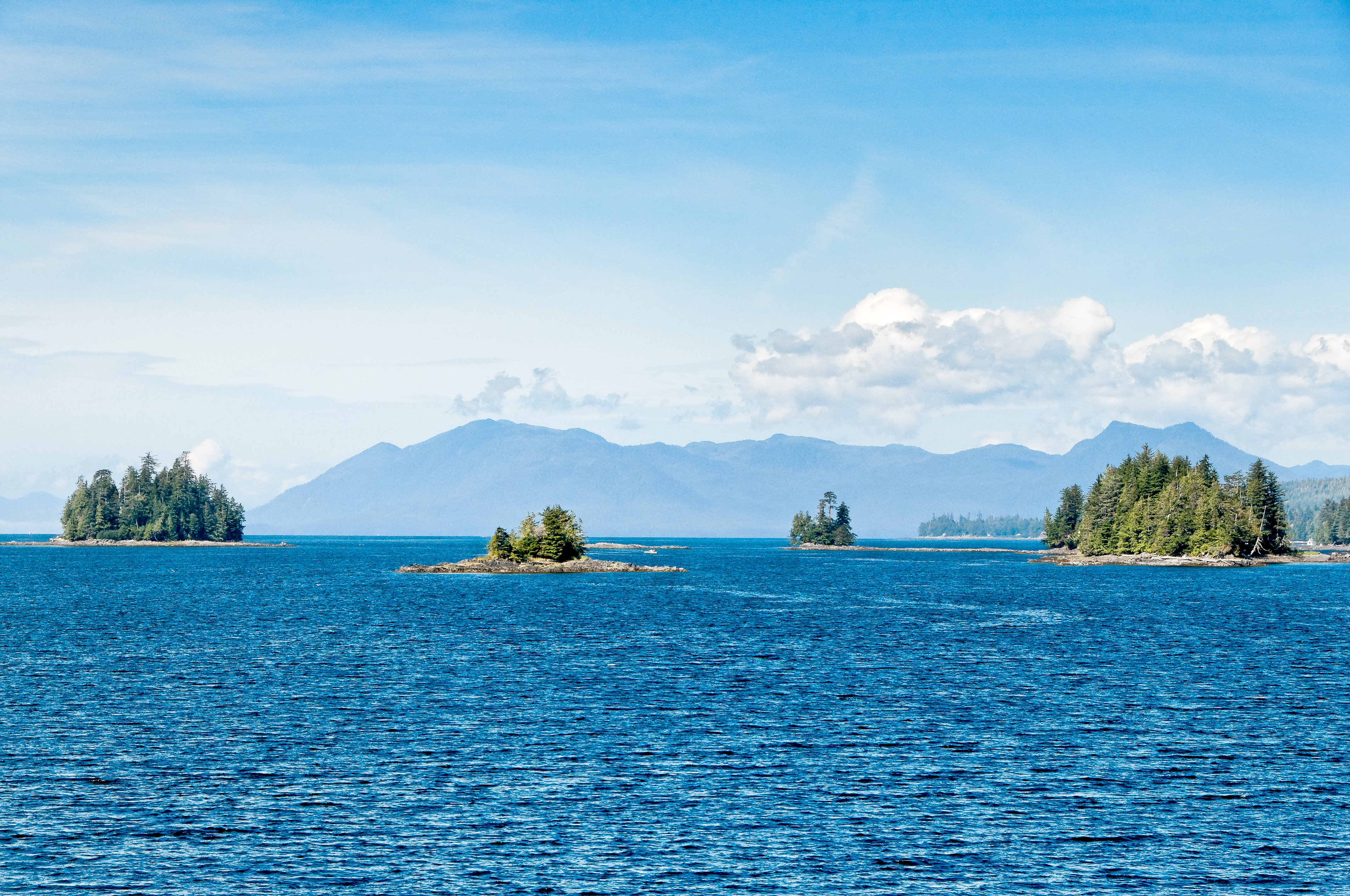 Скачать море, остров, кусты, горы обои на рабочий стол