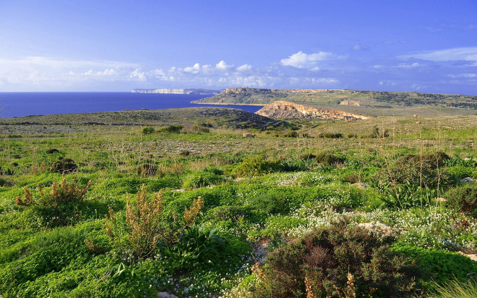 Скачать море, трава, берег, лето обои на рабочий стол