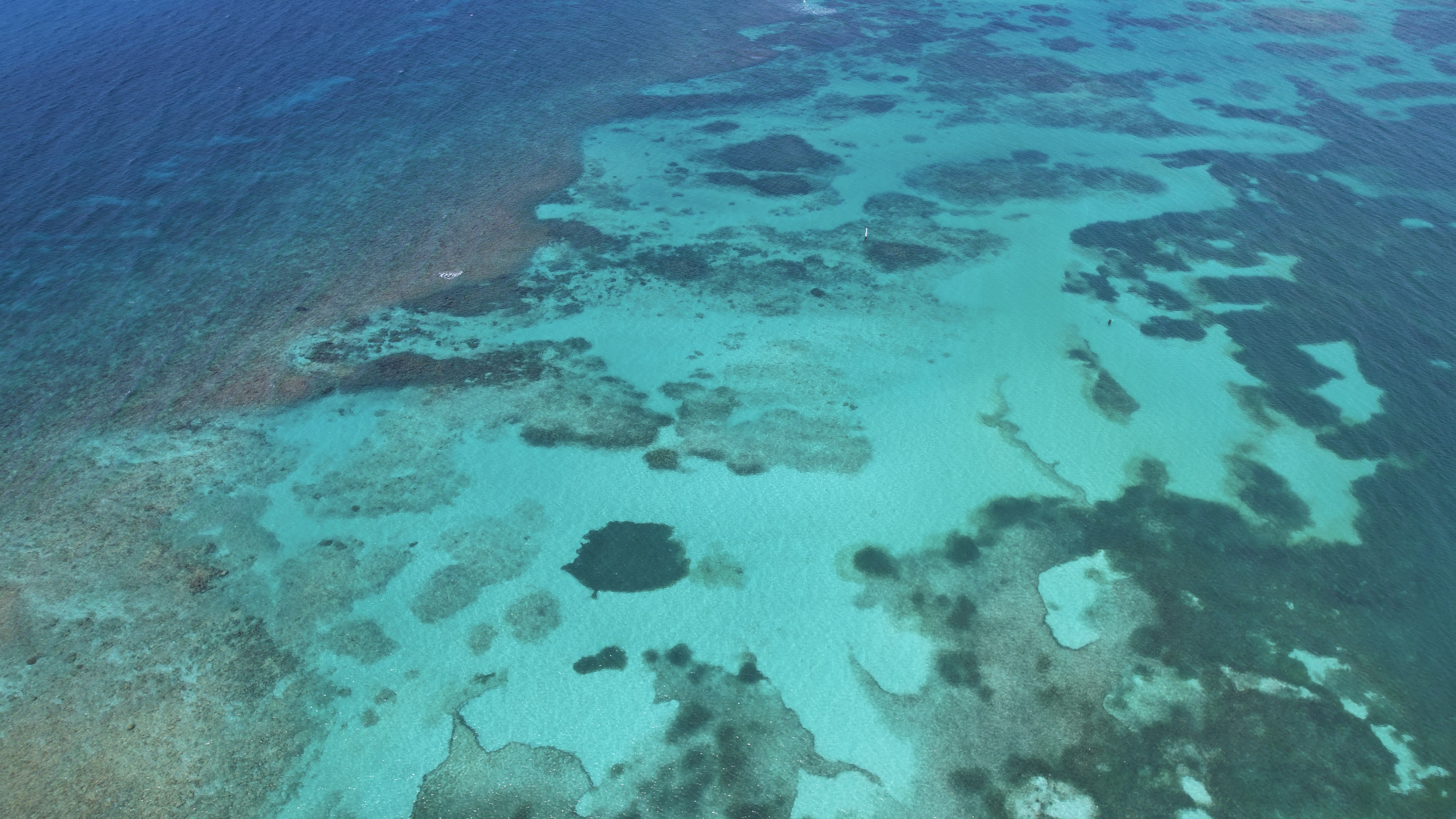 Скачать море, вода, дно, природа обои на рабочий стол