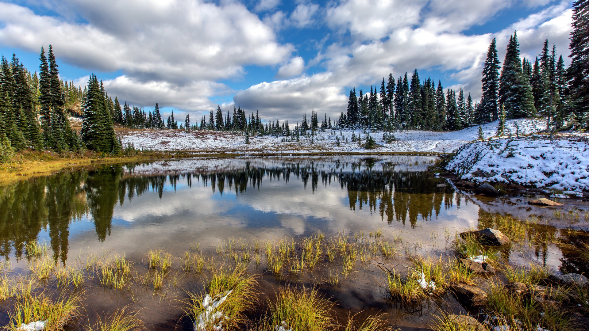 Скачать Mount Rainier National Park обои на рабочий стол