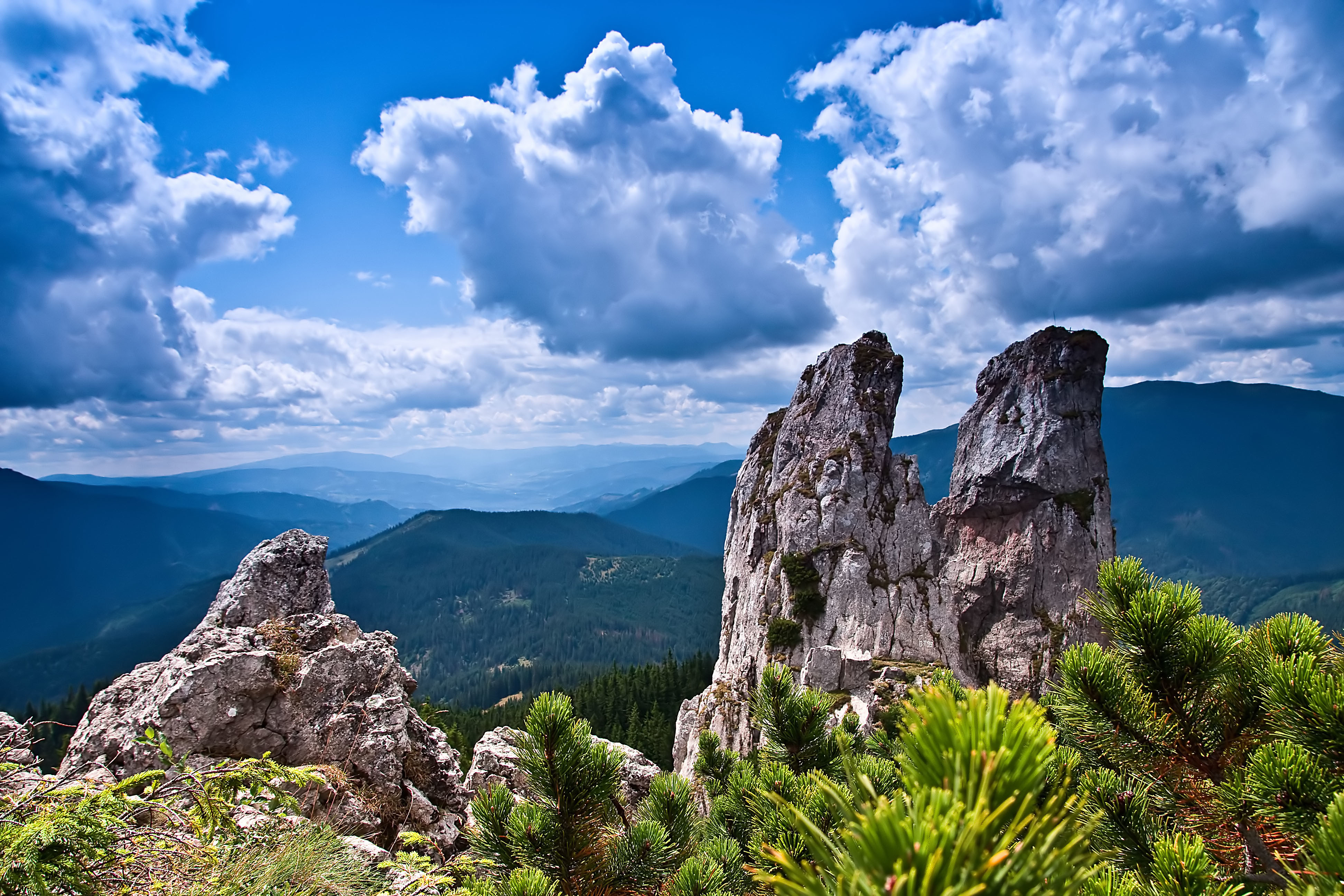 Скачать скалы, горы, кустарник, деревья, небо обои на рабочий стол