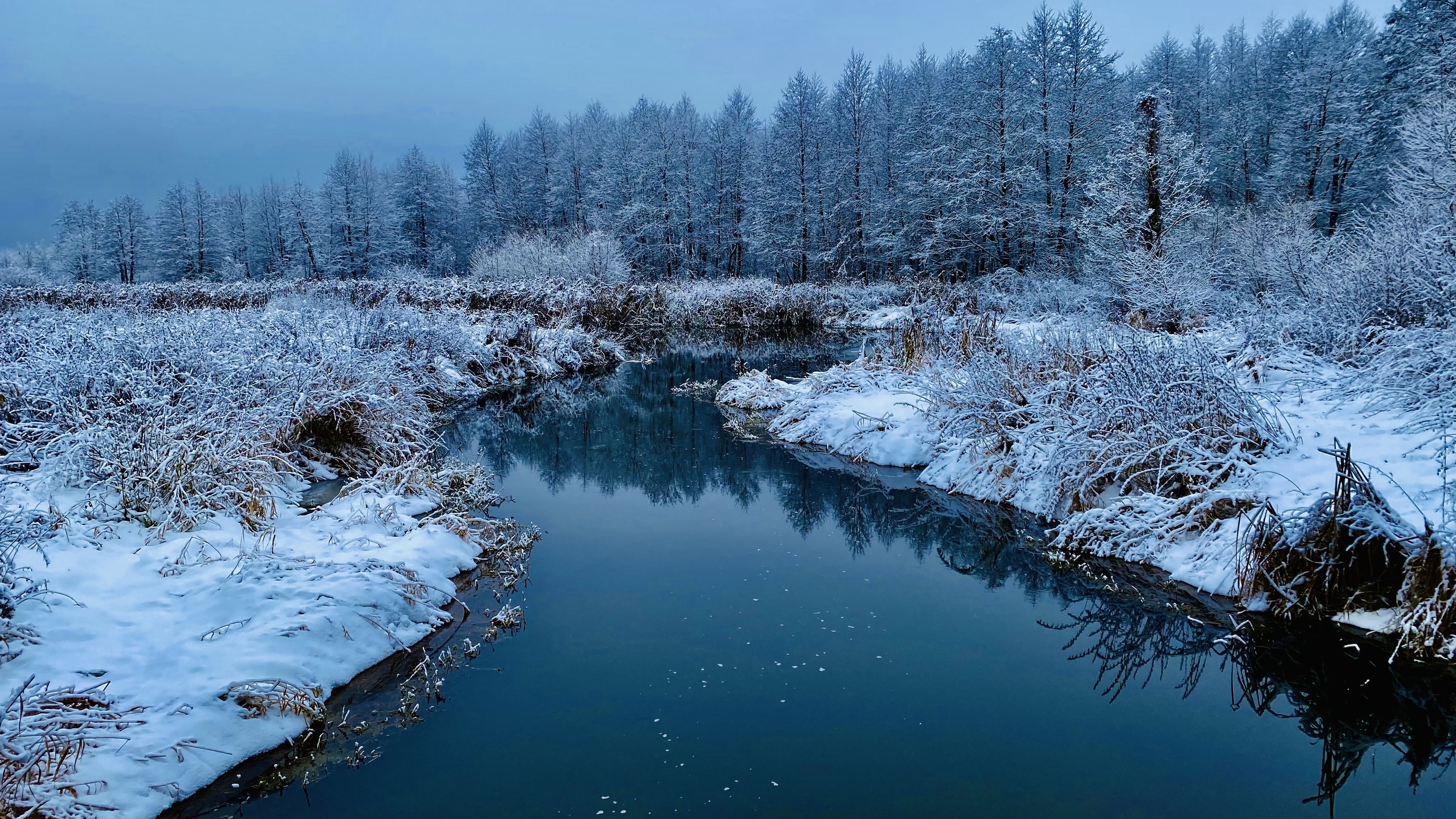 Скачать Winter обои на рабочий стол