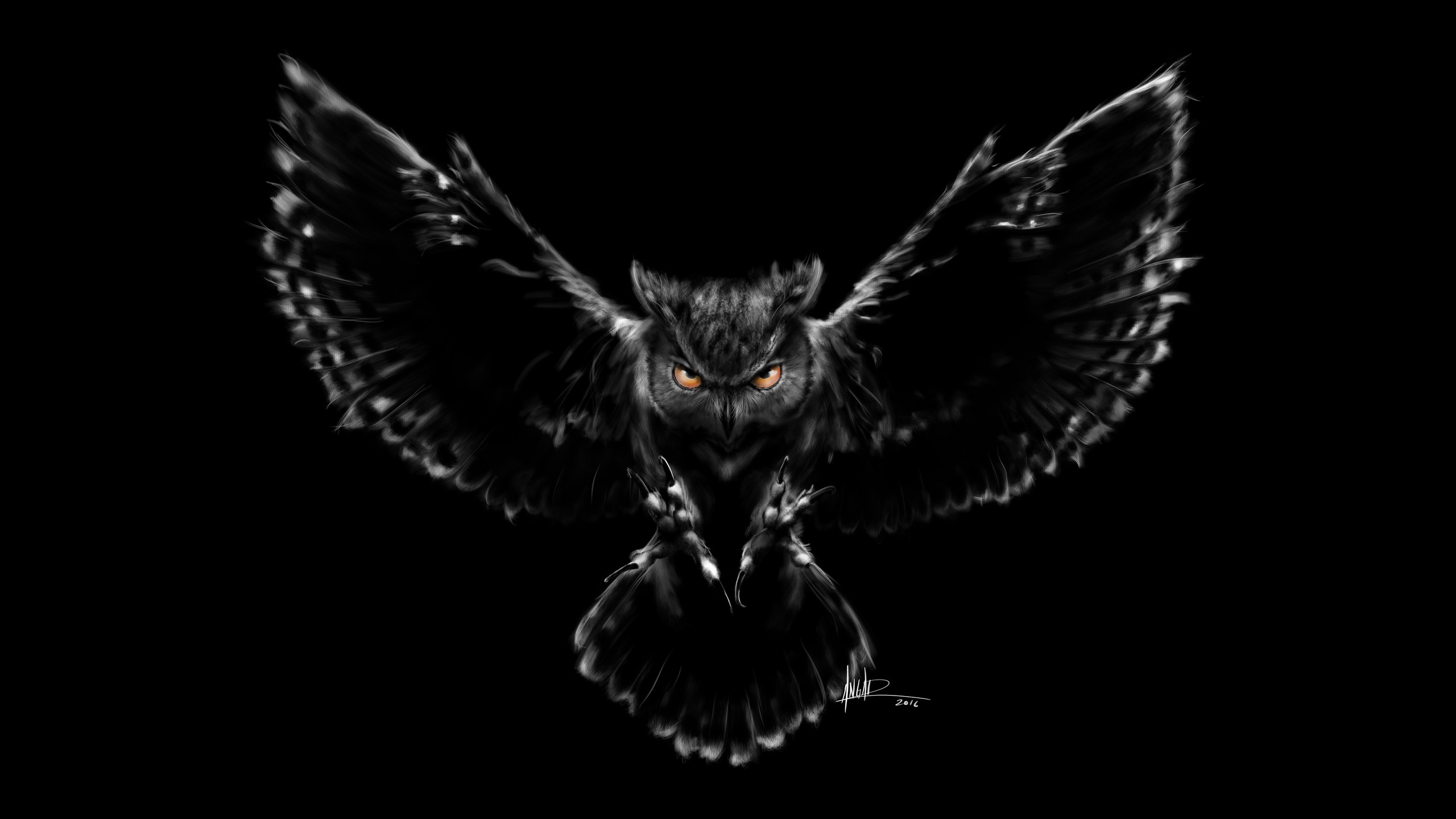 Скачать black owl обои на рабочий стол